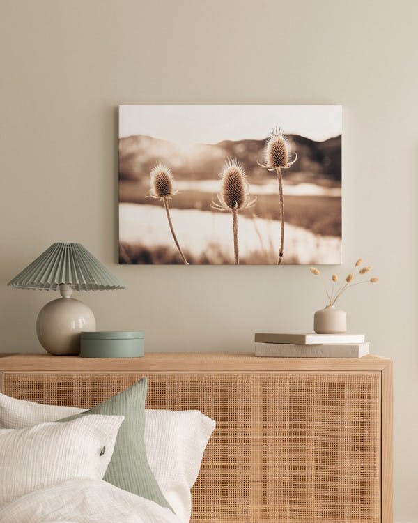 Canvas Prints - Thistle Flowers Canvas print (50x70 cm) - Poster Store