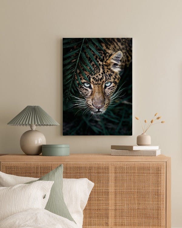 Canvas Prints - Wild Leopard Canvas print (50x70 cm - Oak Frame) - Poster Store