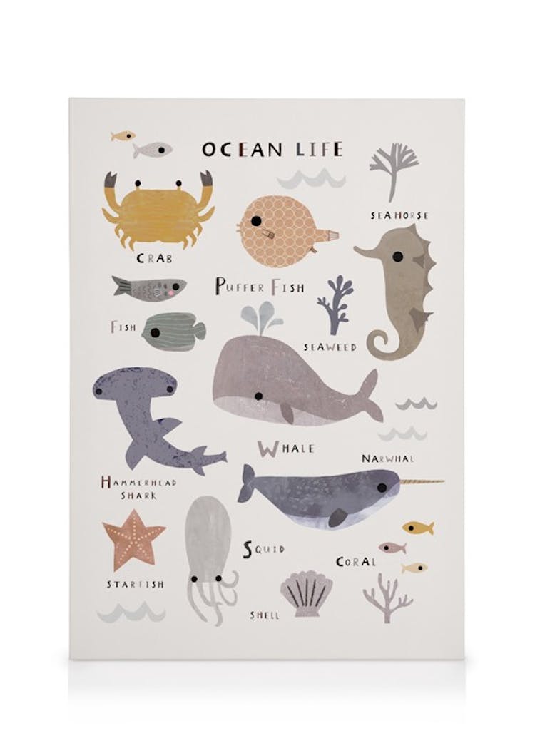 Shop canvas online at Posterstore.com