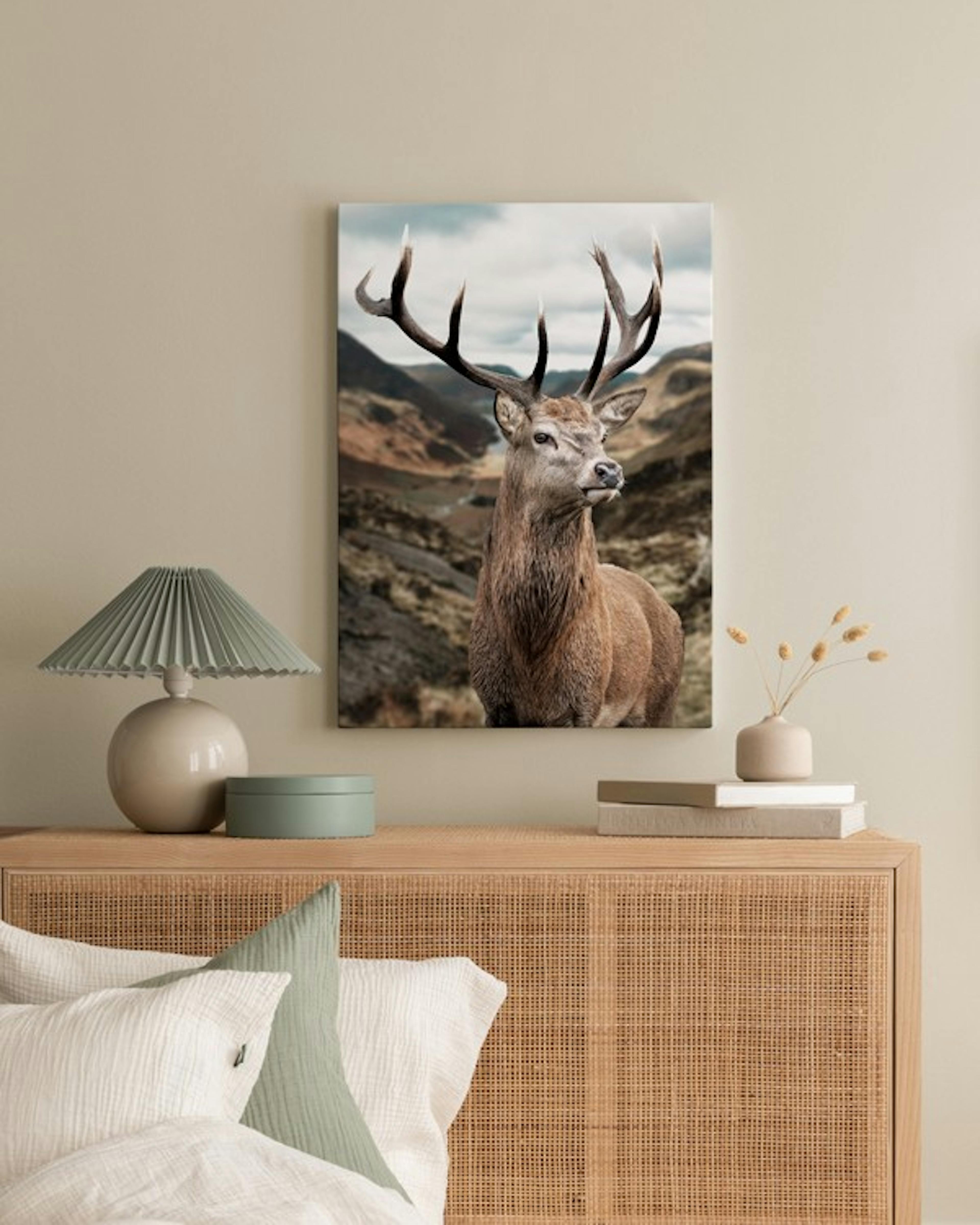 Majestic Deer Canvas print thumbnail