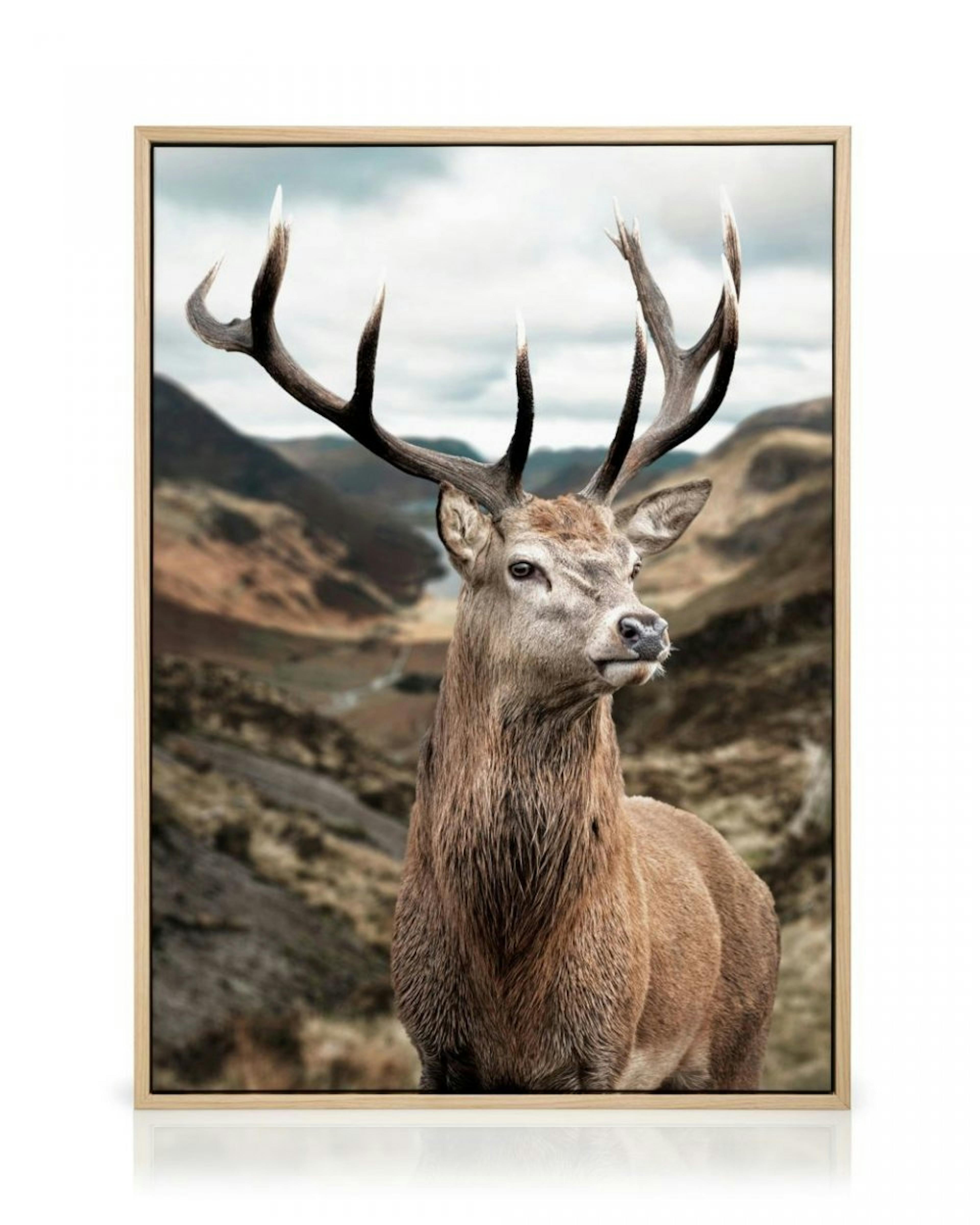 Majestic Deer Canvas print thumbnail