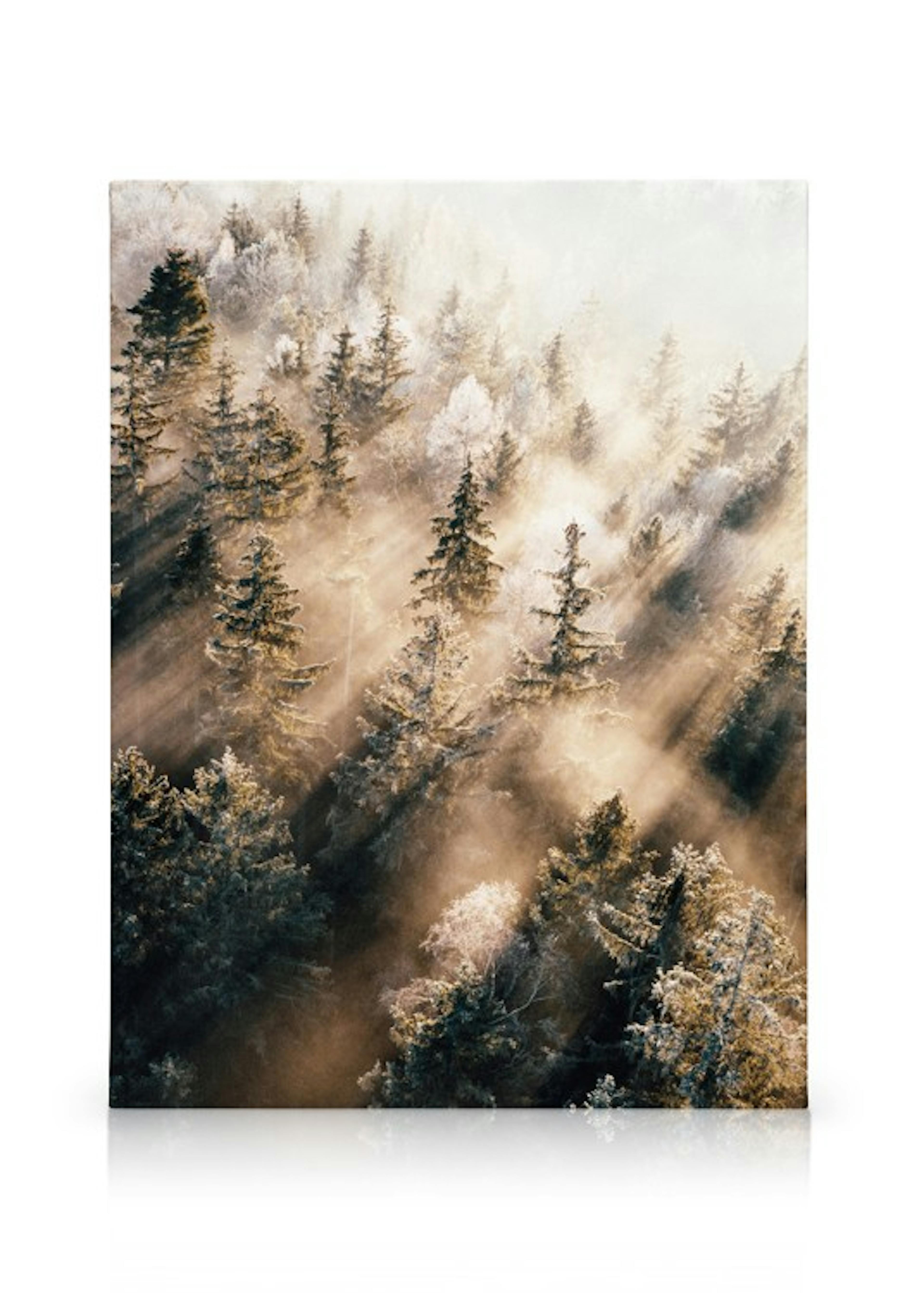 Nebliger Wald bei Sonnenaufgang Leinwand thumbnail
