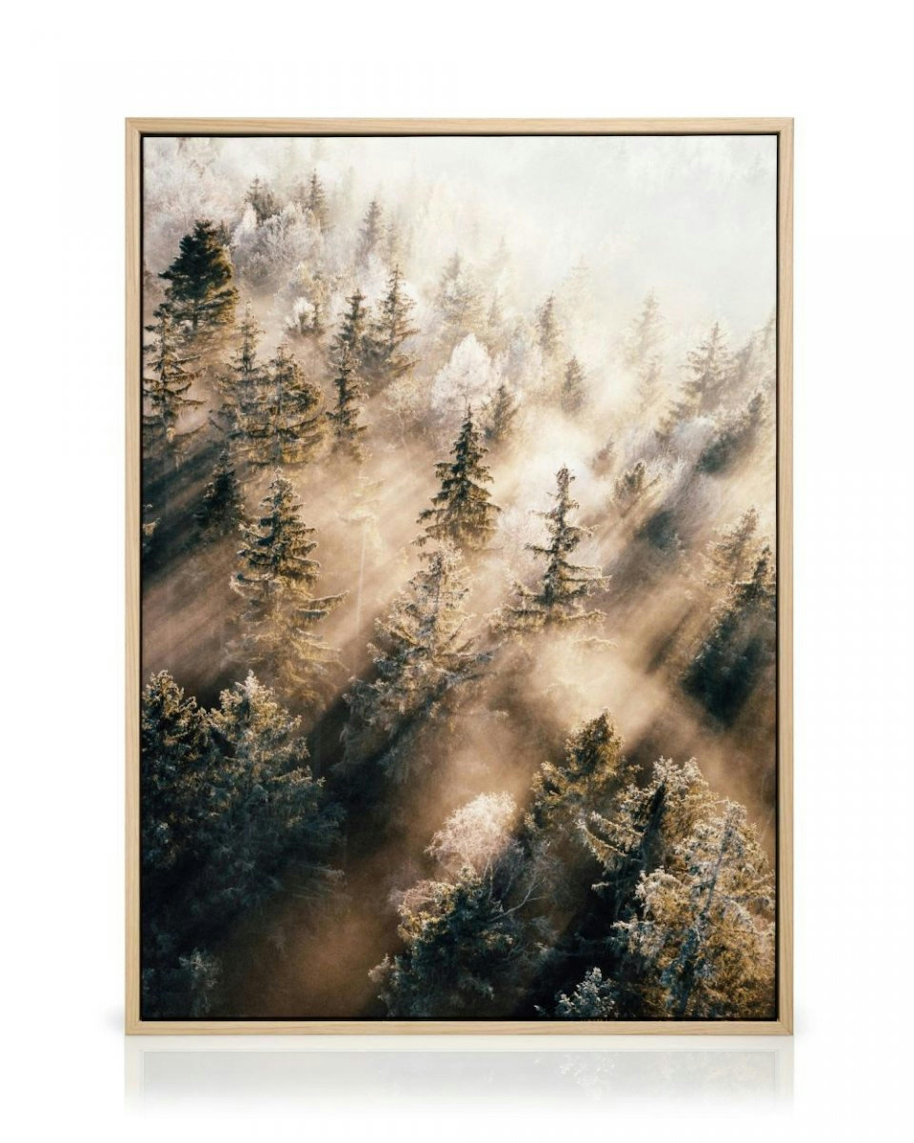 Nebliger Wald bei Sonnenaufgang Leinwand thumbnail