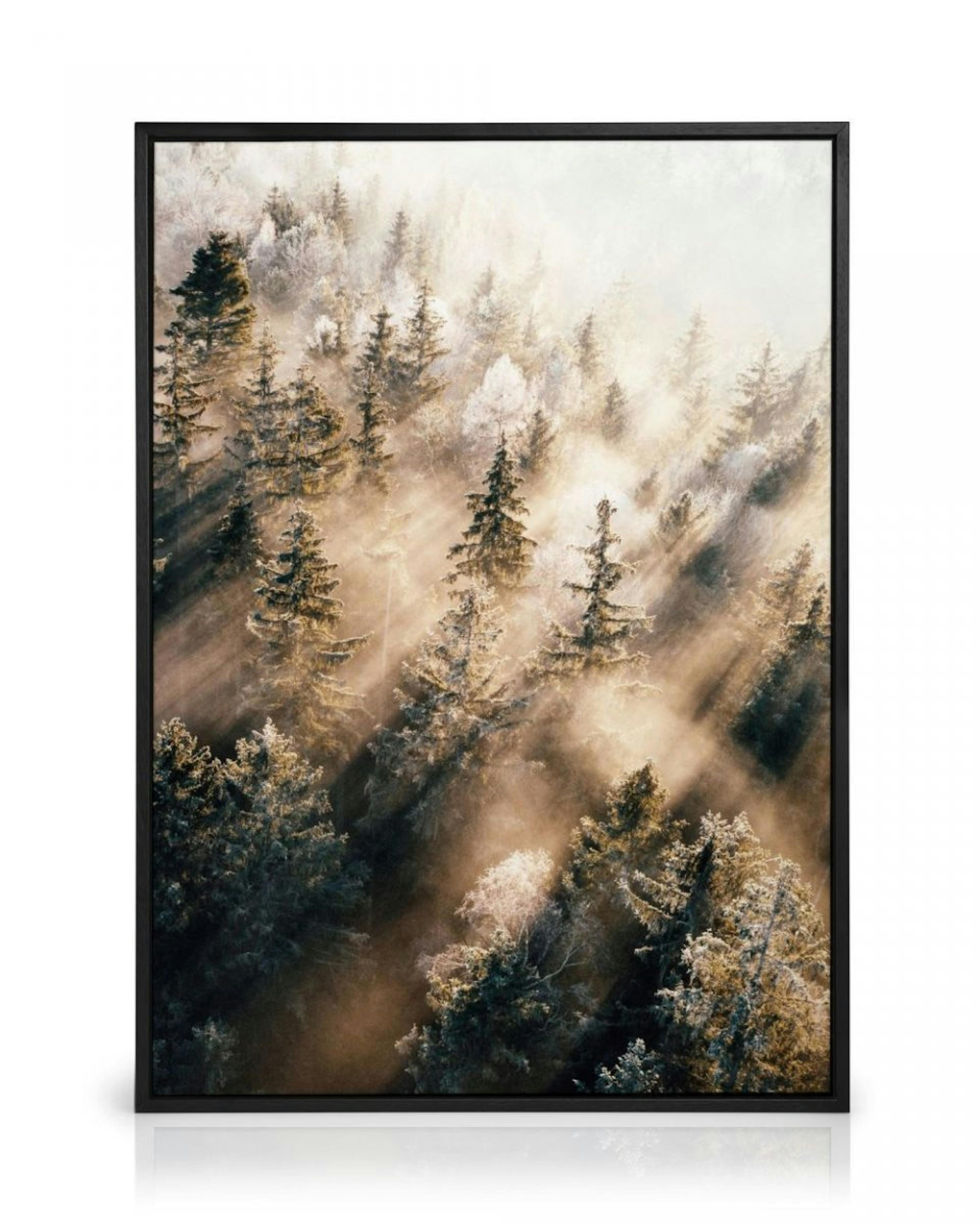 Mlha v lesích obrazy na plátně thumbnail