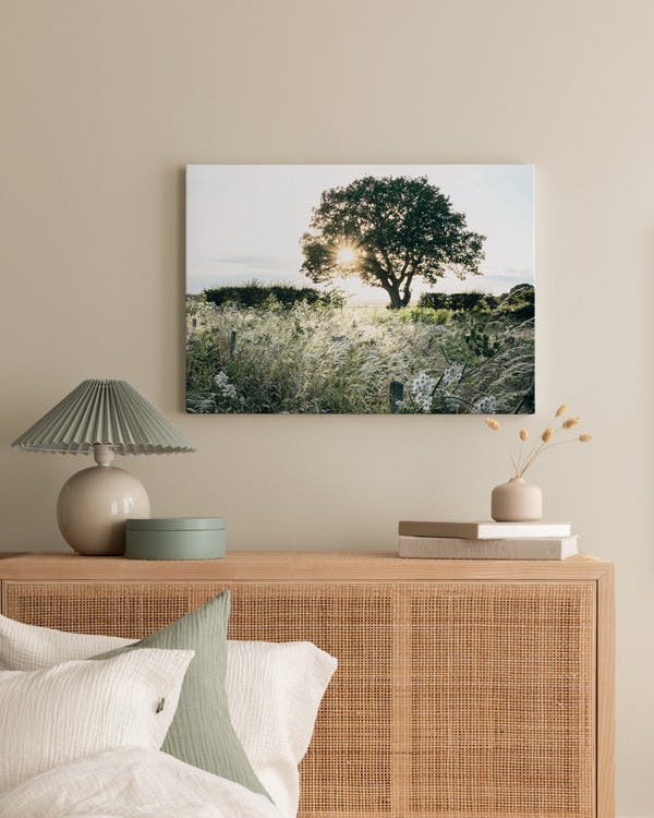Canvas Prints - Sunset Behind Tree Canvas print (30x40 cm) - Poster Store