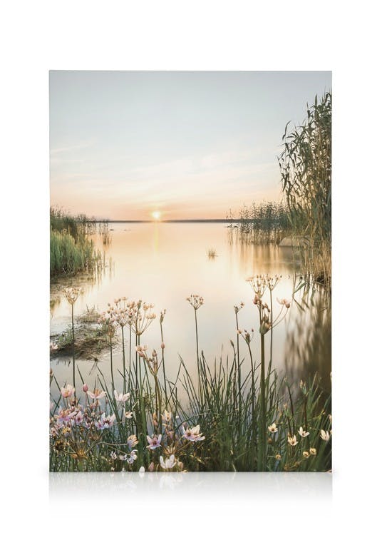Aube d'Été Toile (50x70 cm - Cadre de chêne) - Poster Store
