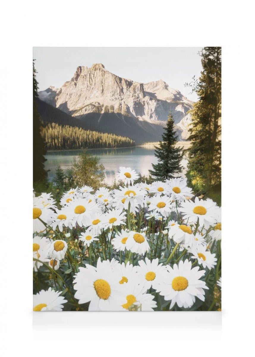 Canvastavlor - Bergsblommor canvastavla (70 x 100 cm - Ekram) - Poster Store