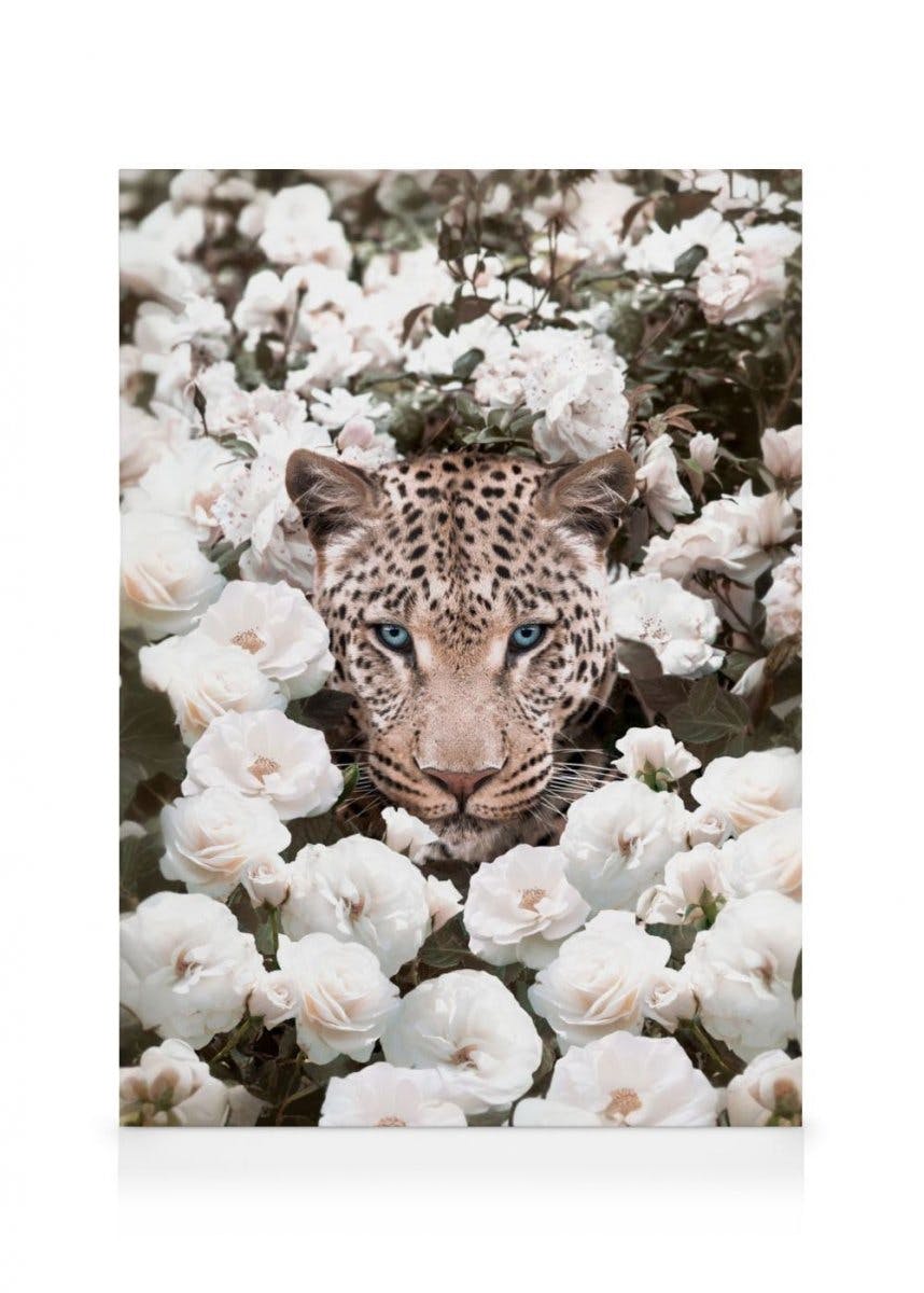 Toile Rose Blanche Léopard (30x40 cm - Cadre noir) - Poster Store