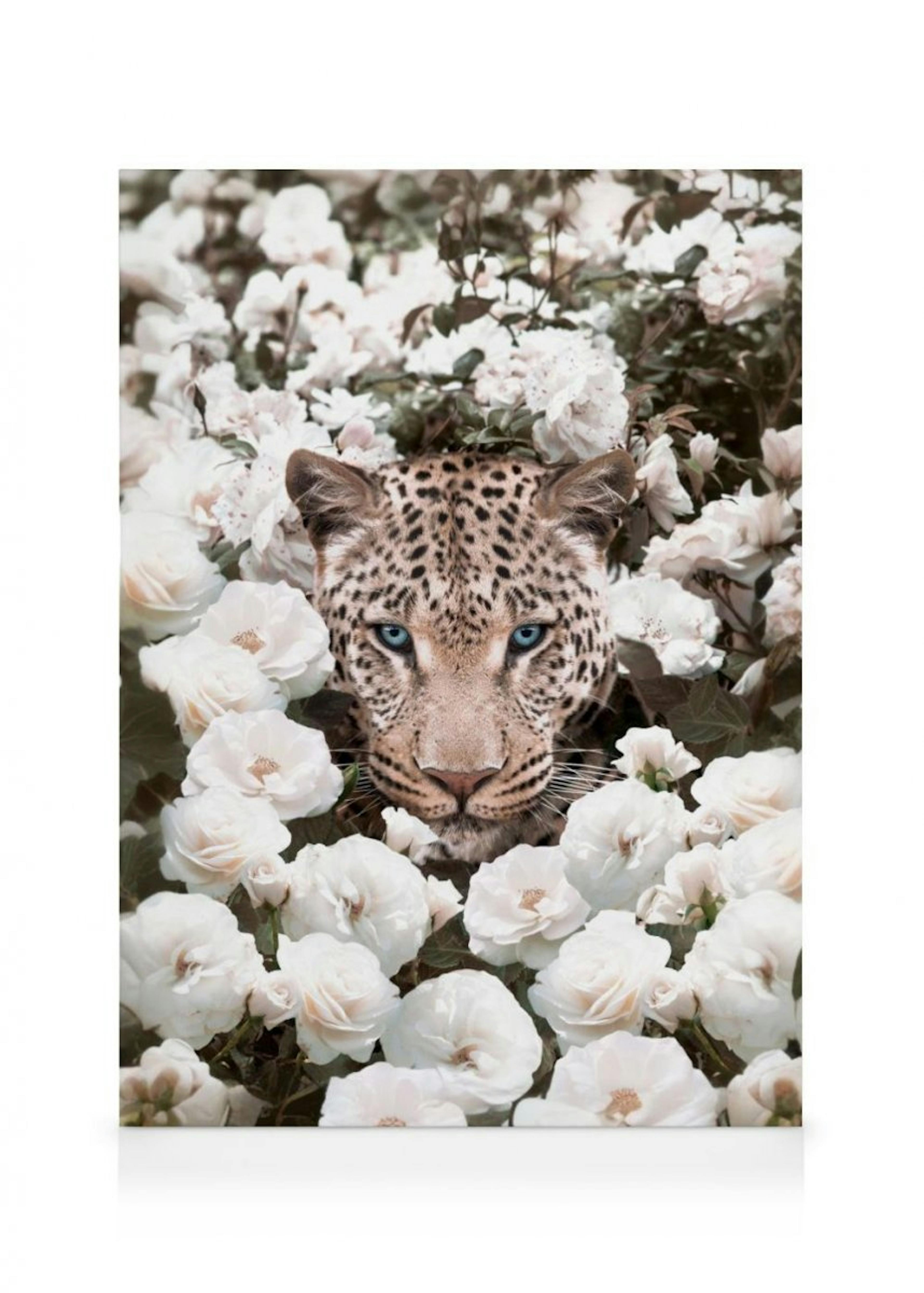 Leopard auf weißer Rose Leinwandbild thumbnail