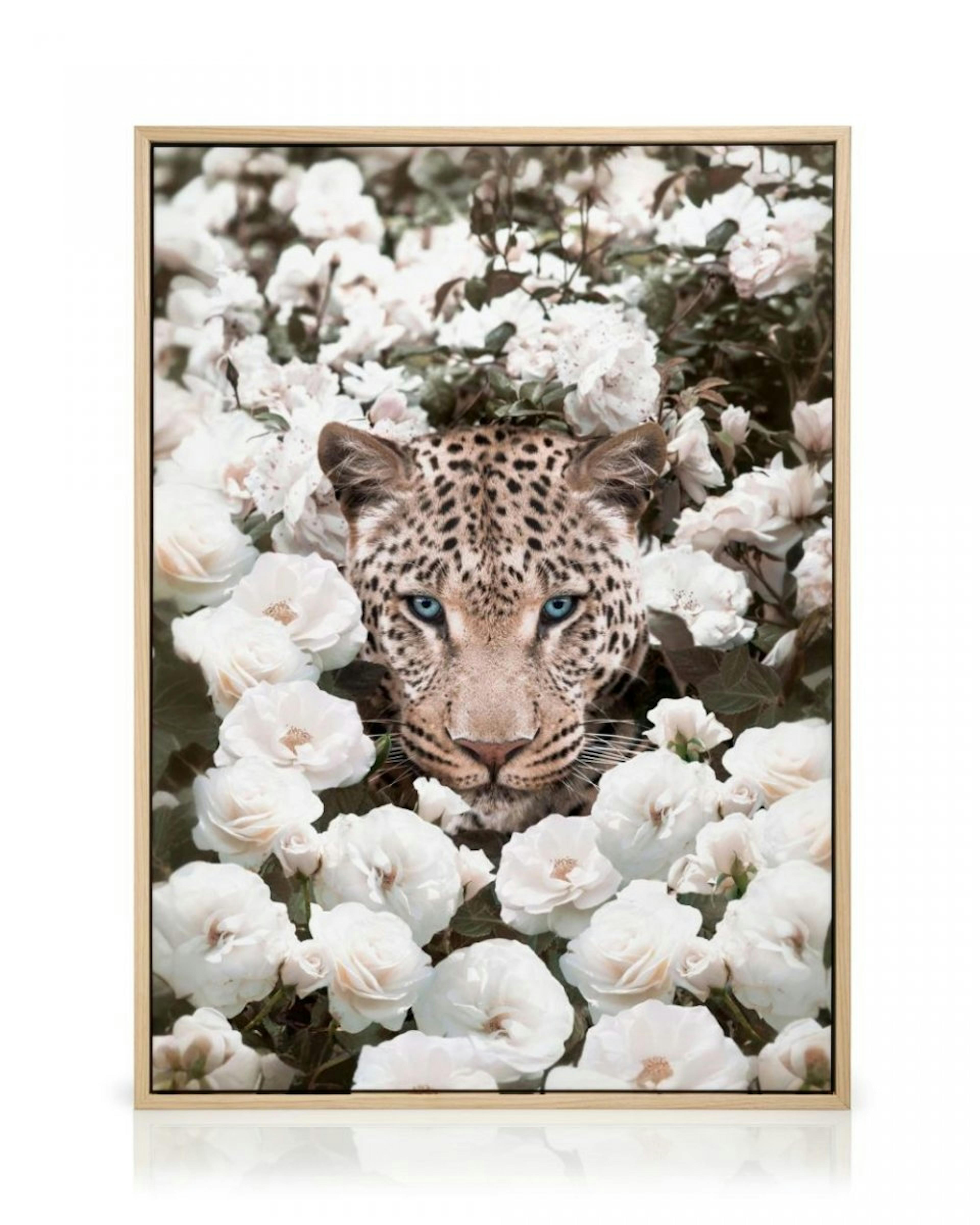 Leopard auf weißer Rose Leinwandbild thumbnail