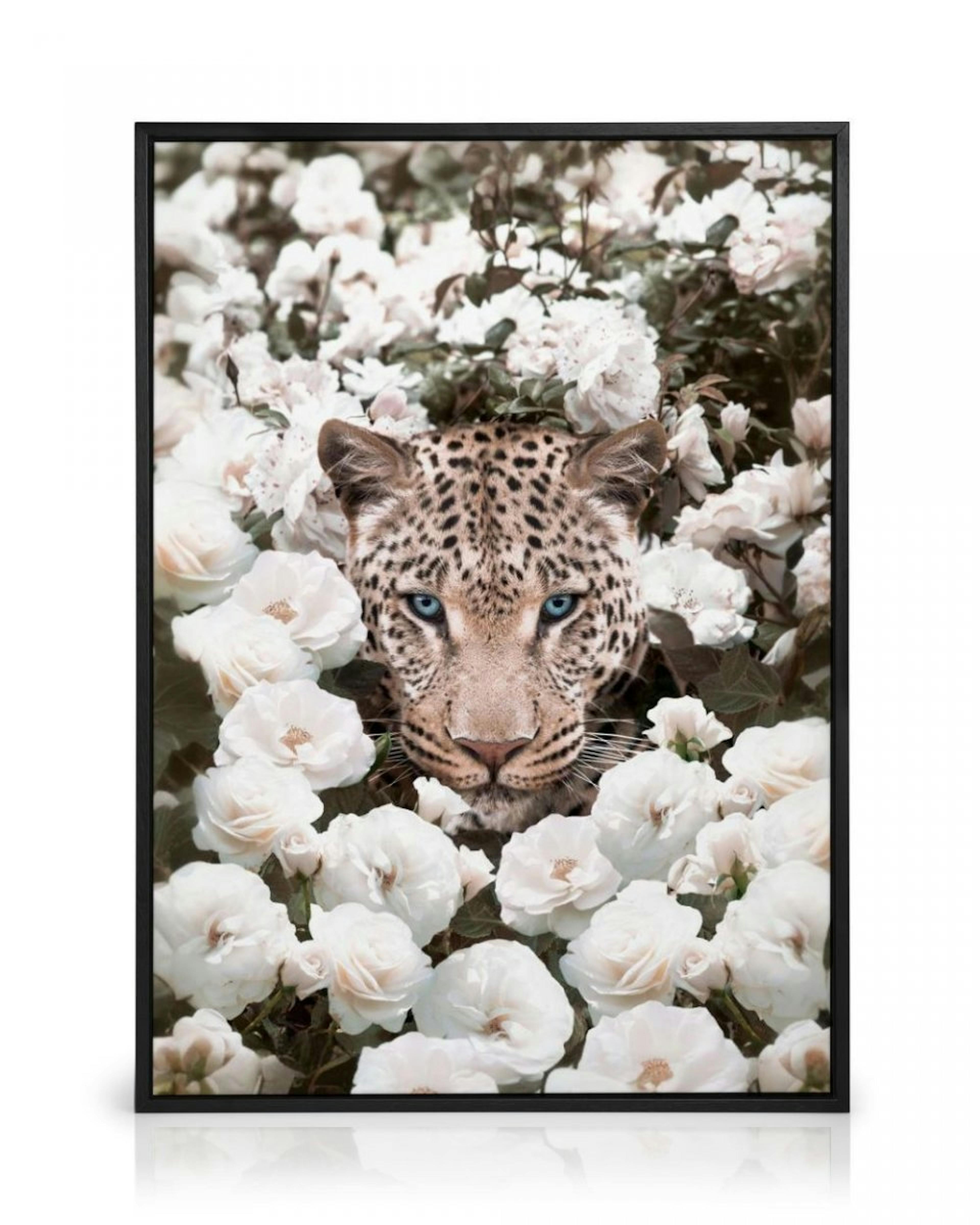 Leopard auf weißer Rose Leinwandbild thumbnail