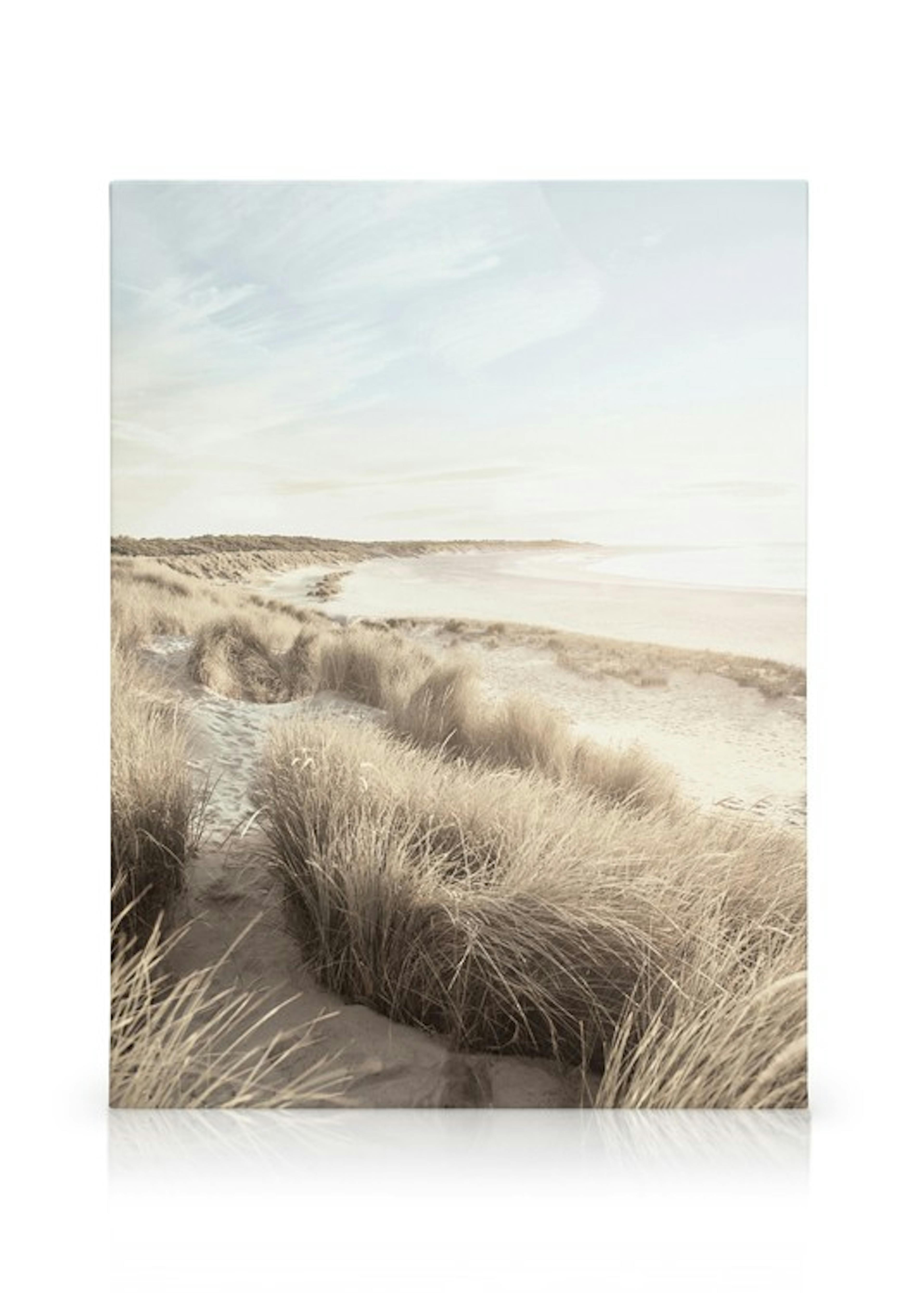 Beach Dune Grass Canvas print thumbnail