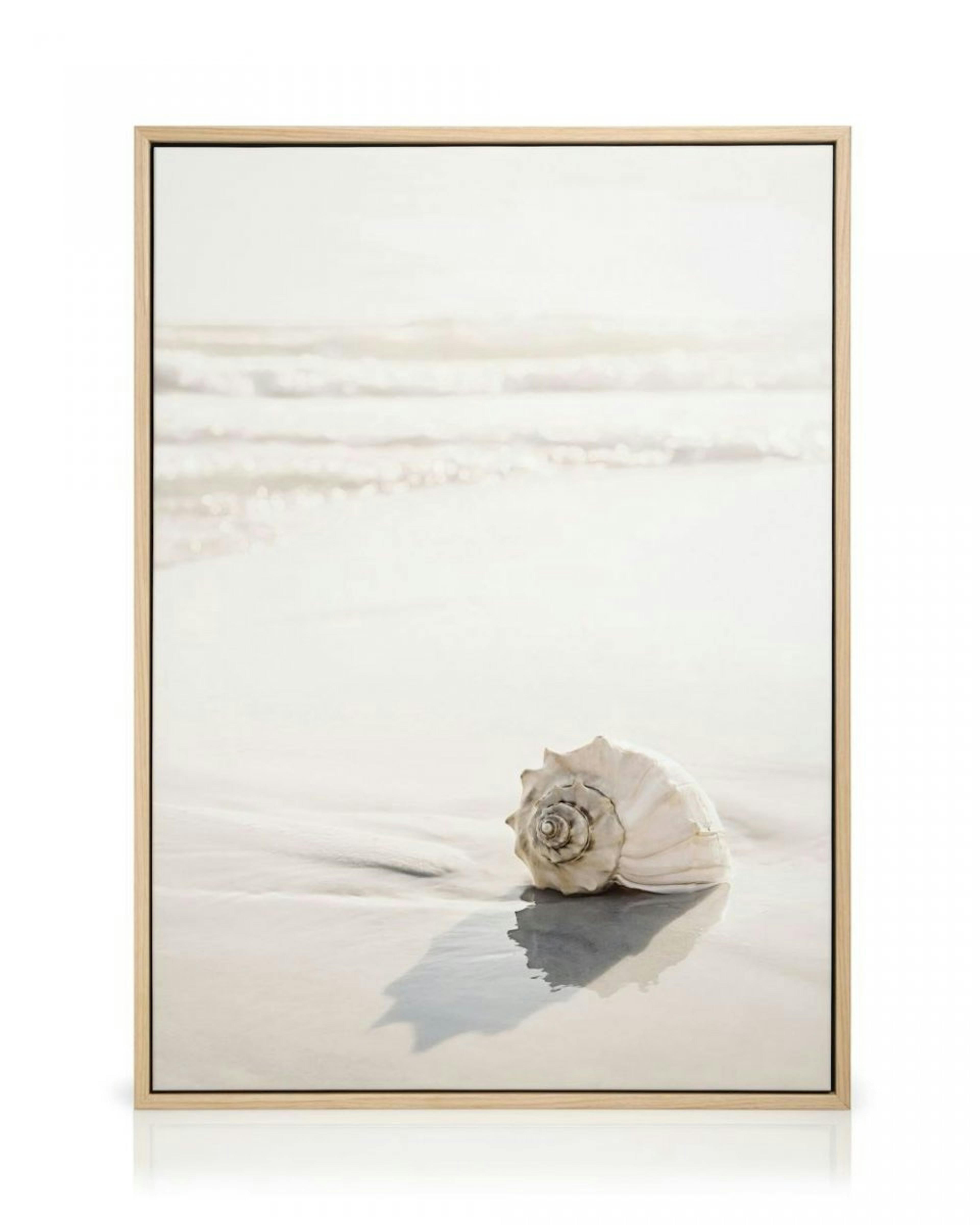 Beach Seashell Canvas print thumbnail