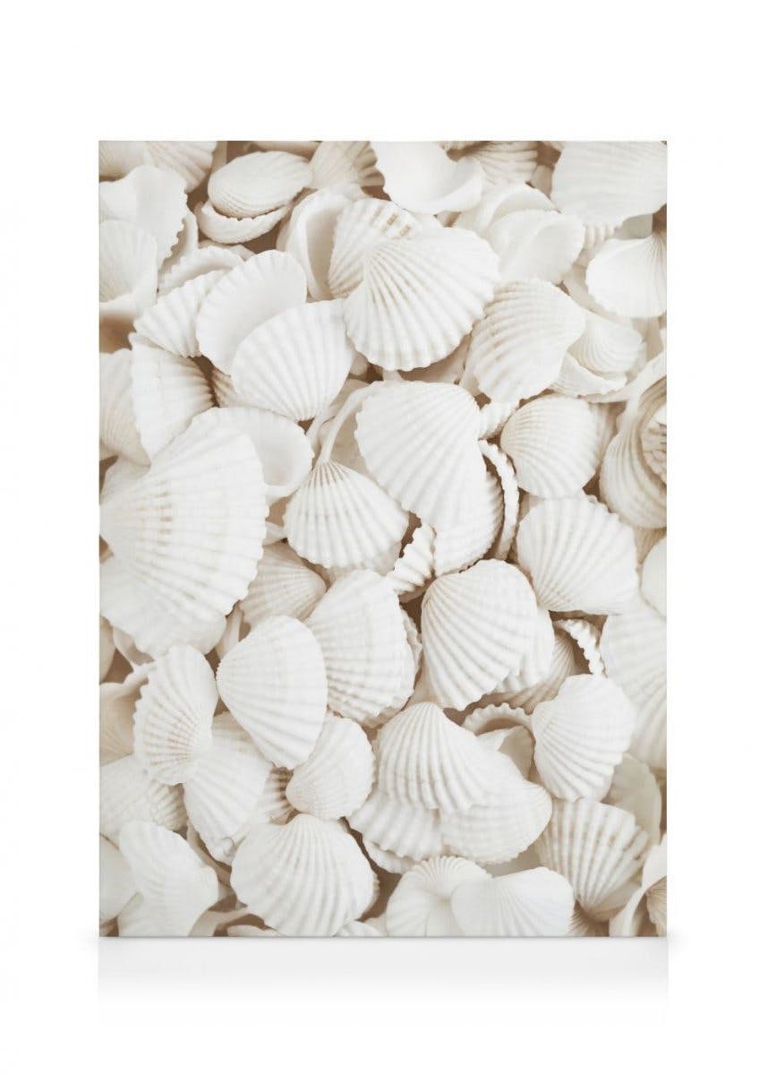 Witte Schelpen Canvas (30x40 cm - Fotolijst Eiken) - Poster Store