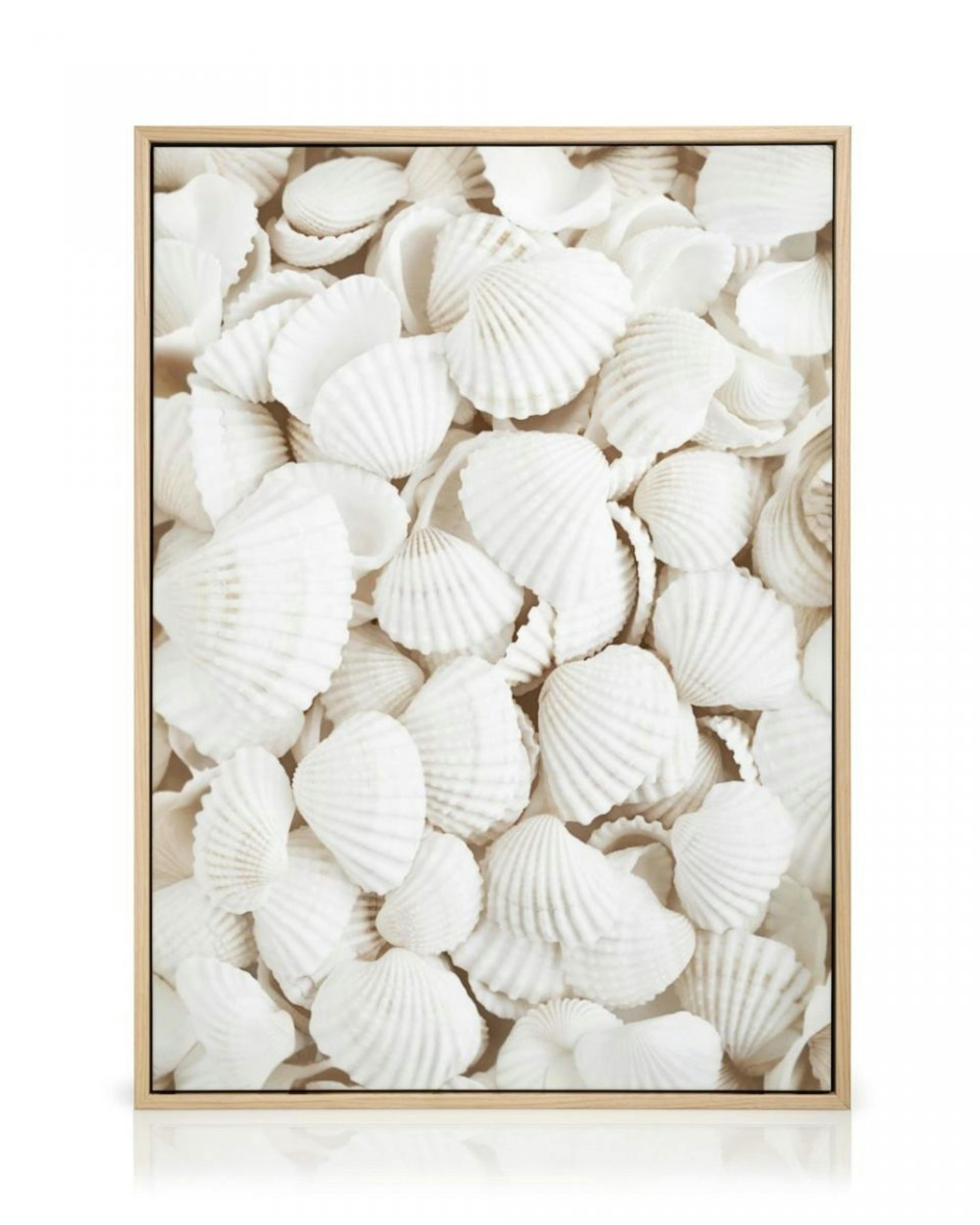 White Seashells Canvas print thumbnail