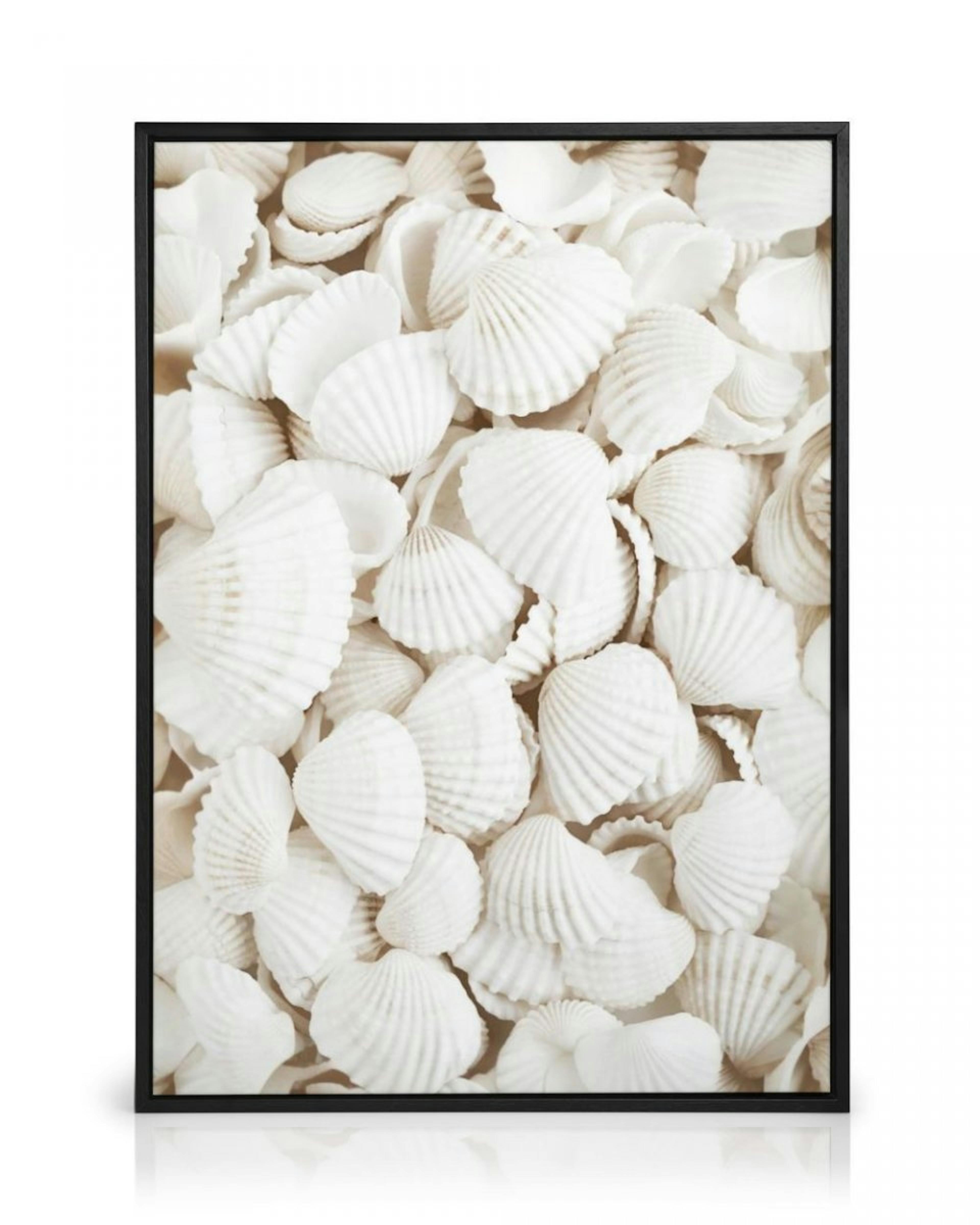 White Seashells Canvas print thumbnail