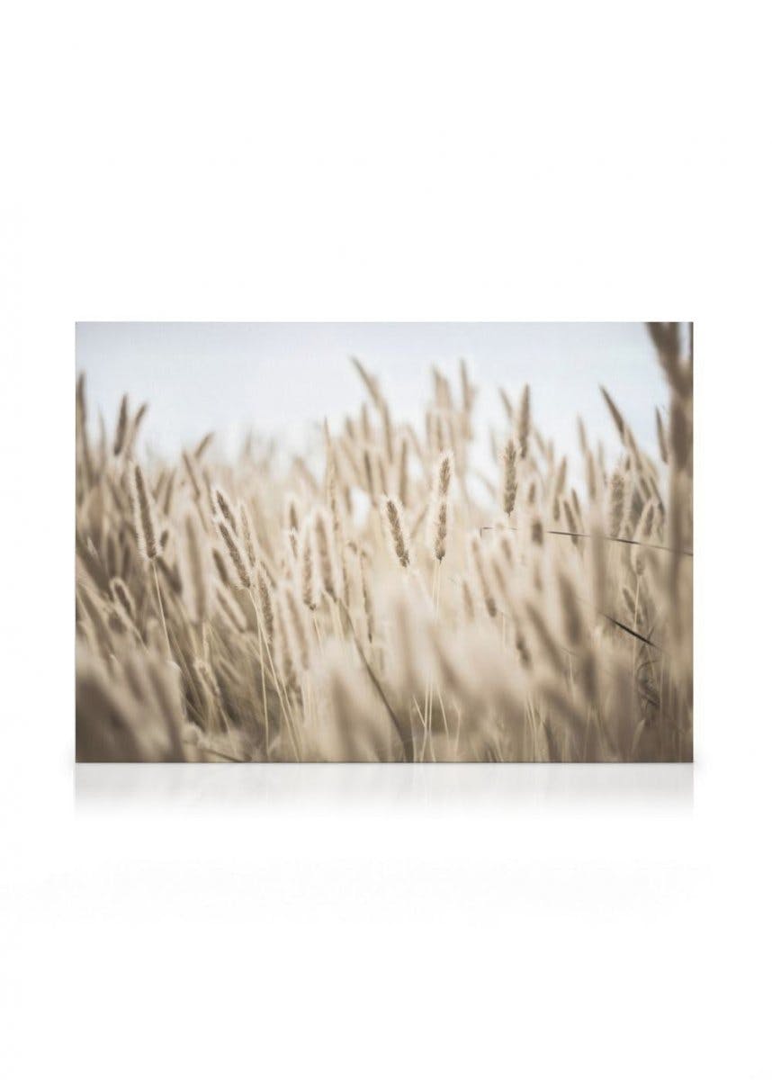 Trawa przy brzegu Obraz na płótnie (30x40 cm - Ramka dębowa) - Poster Store