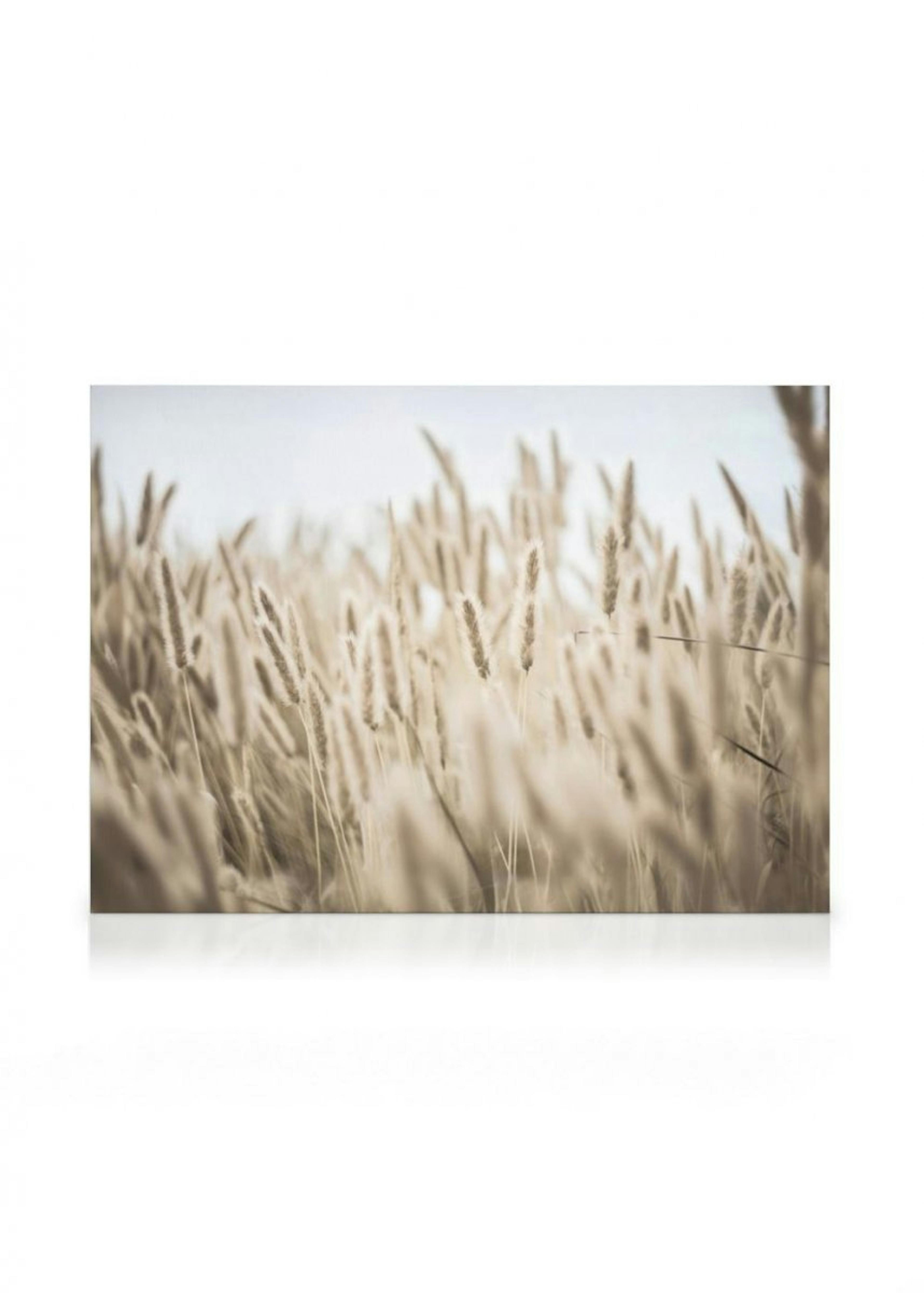 Gras am Ufer Leinwandbild thumbnail