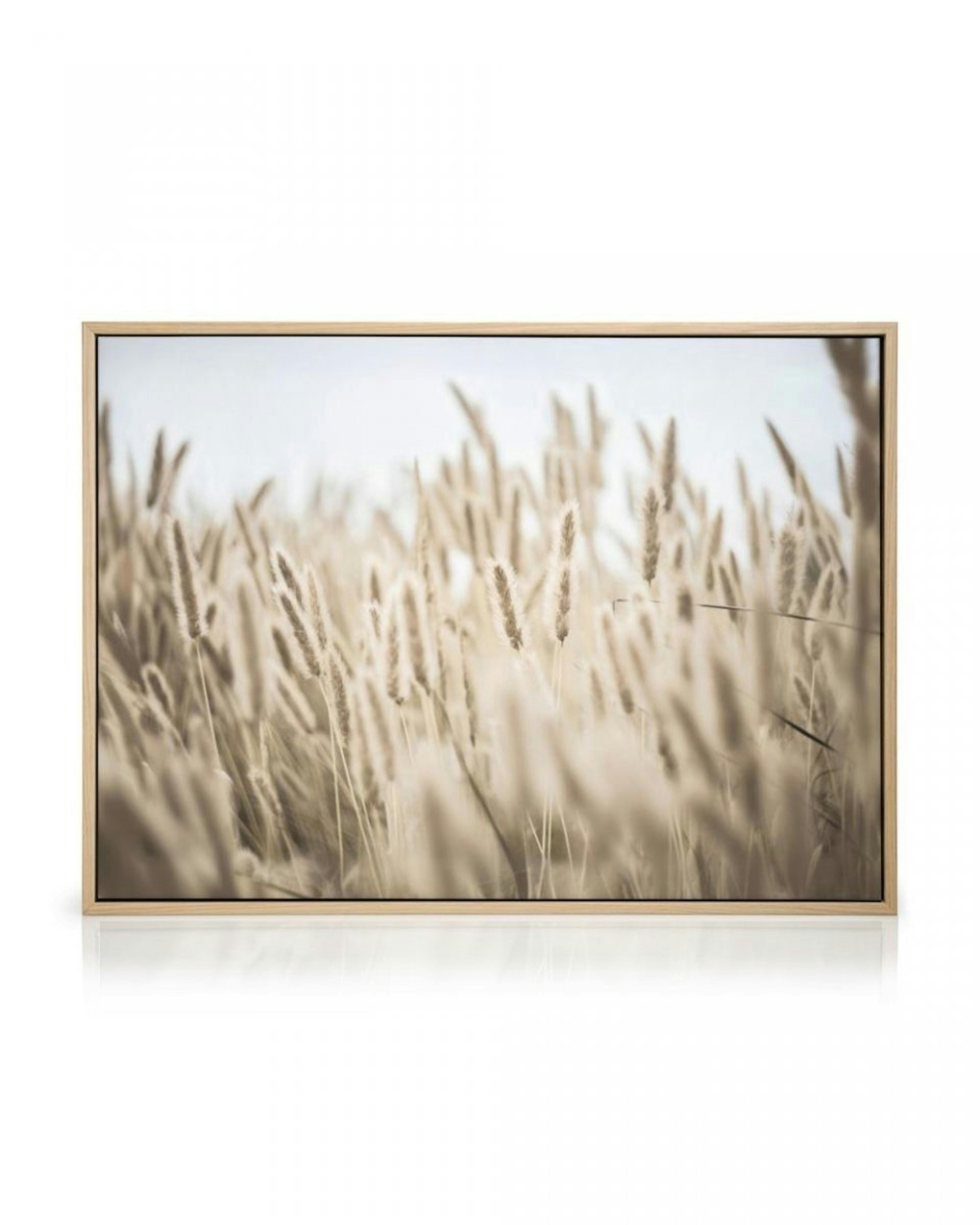 Gras am Ufer Leinwandbild thumbnail