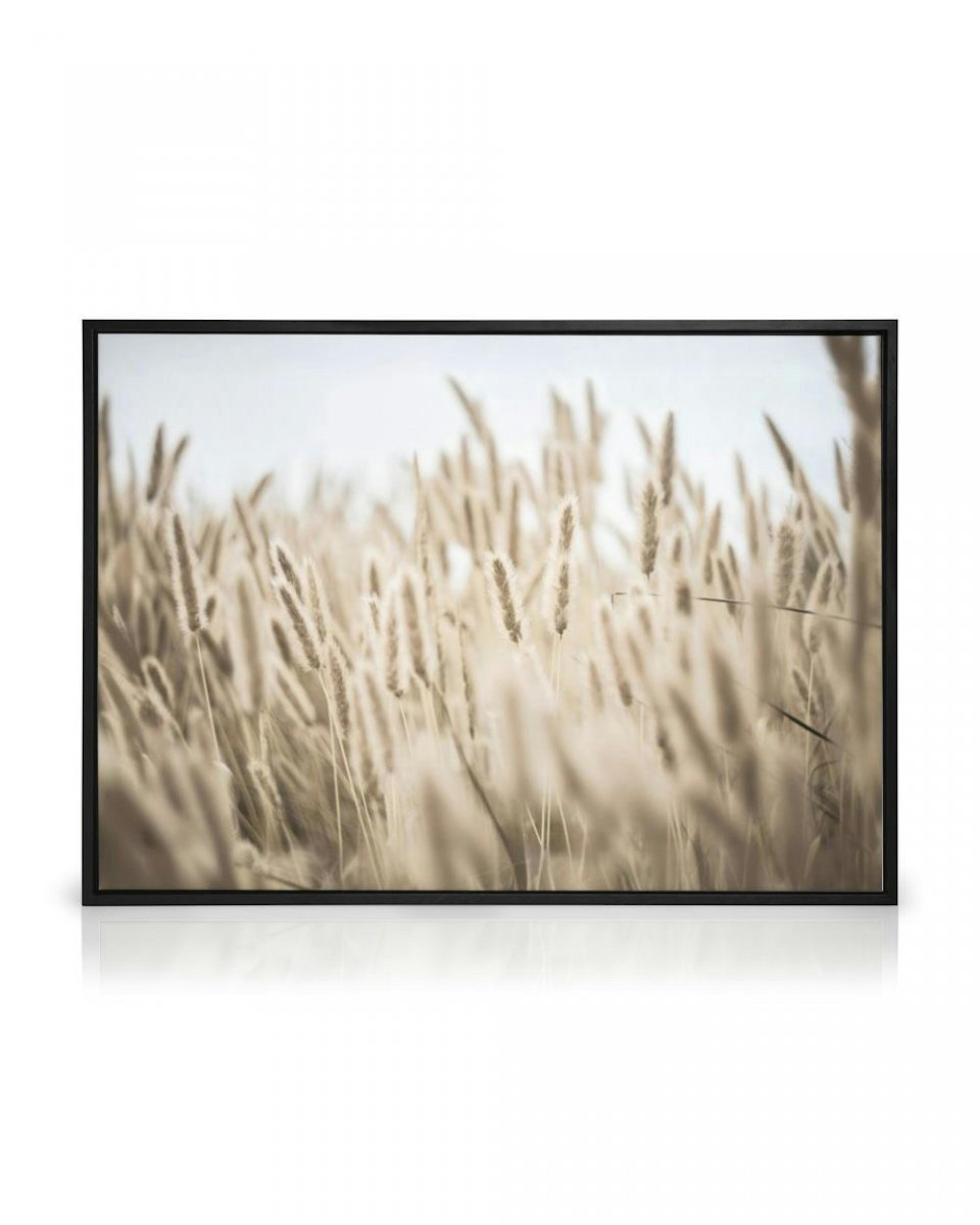 Gras am Ufer Leinwandbild thumbnail