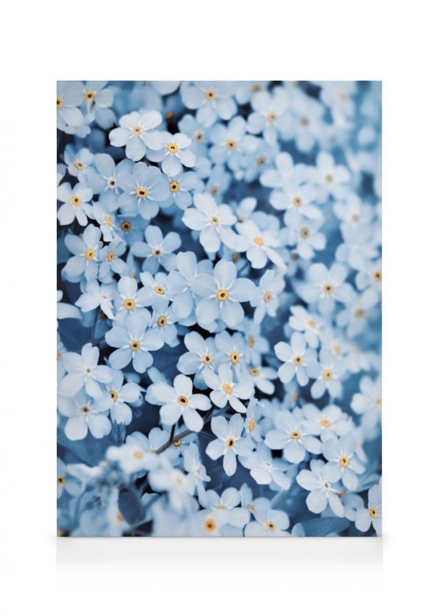 Macizo de Flores Azules Lienzo (30x40 cm - Marco de roble) - Poster Store