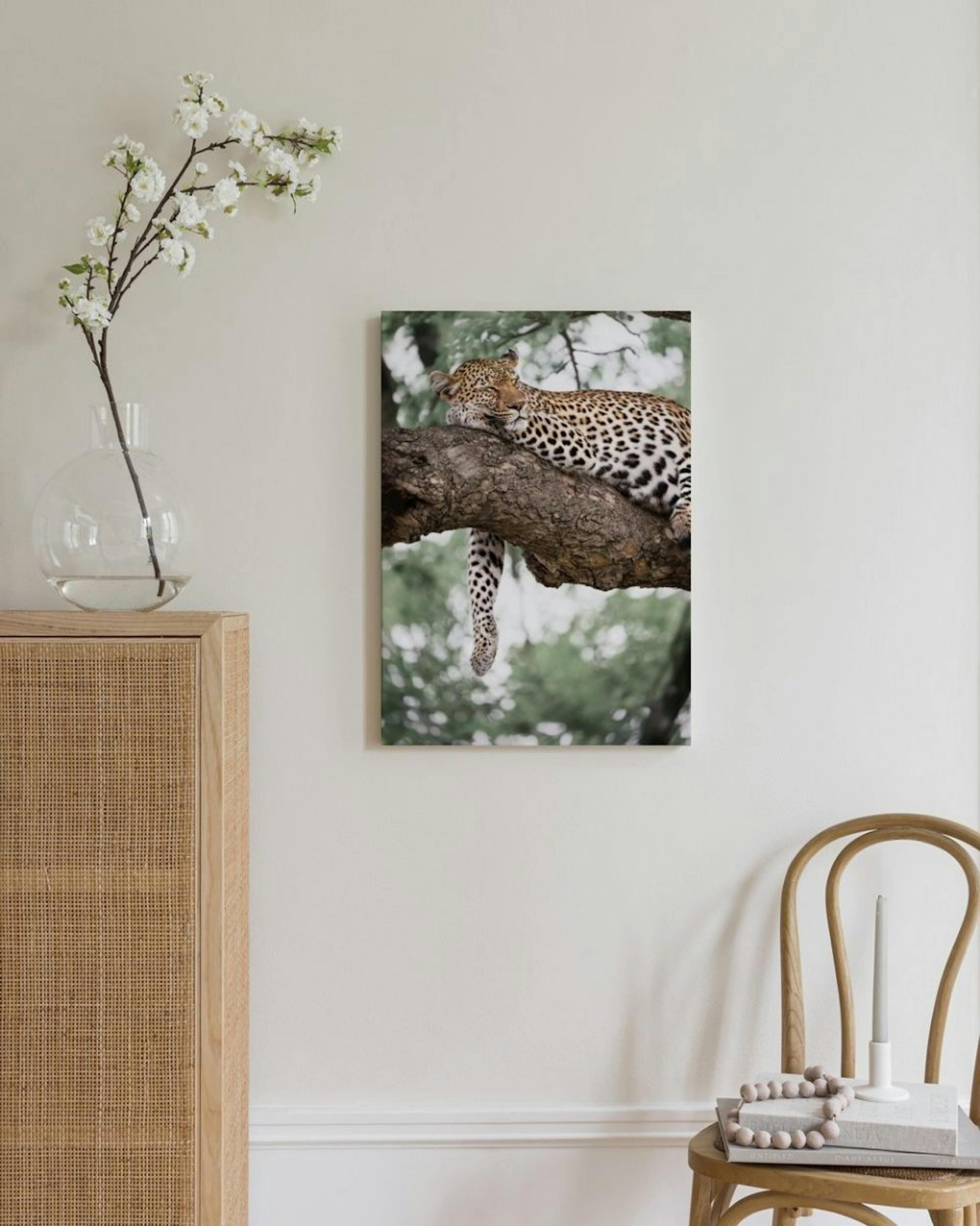 Relaxing Leopard Canvas Print thumbnail