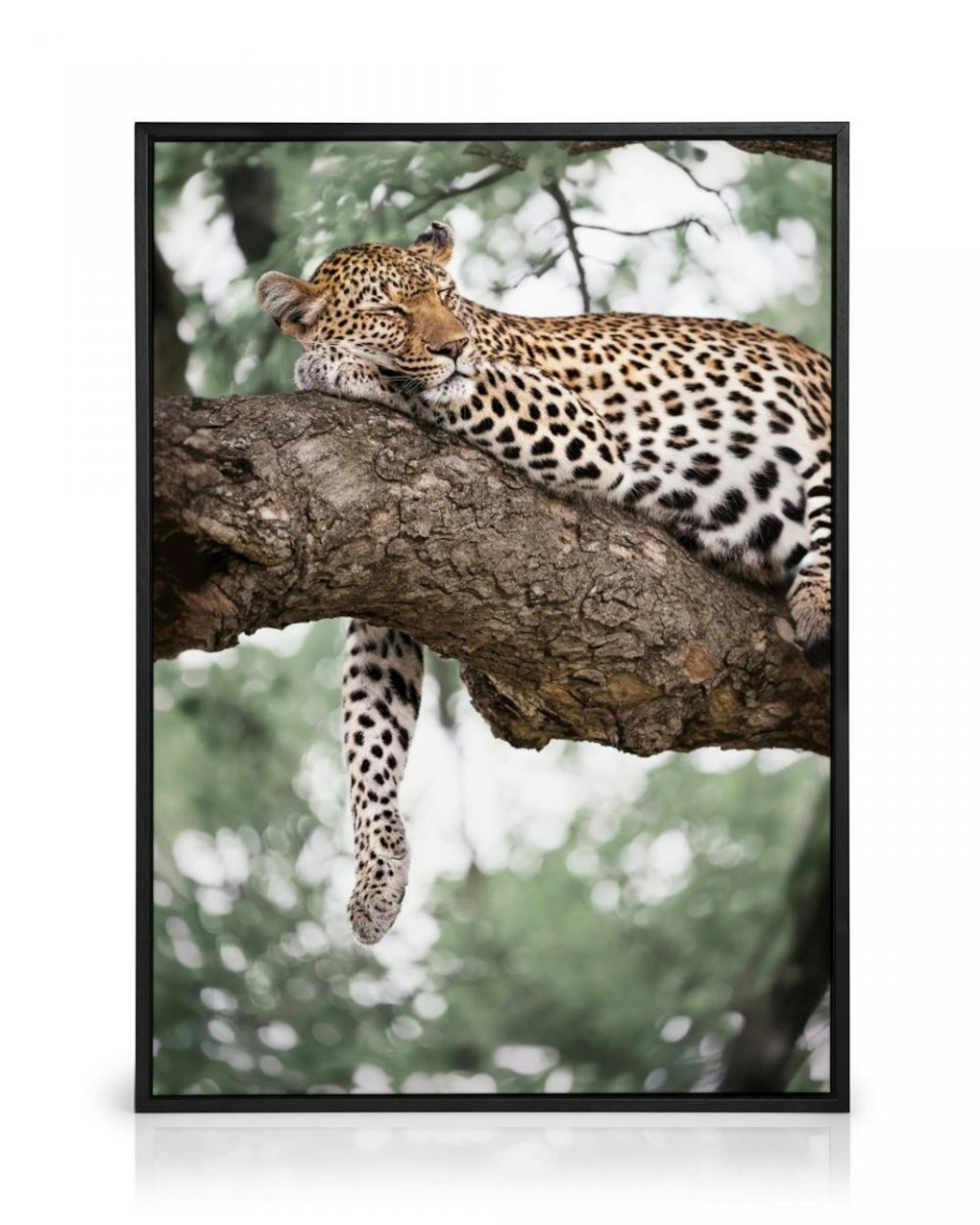 Relaxing Leopard Canvas Print thumbnail