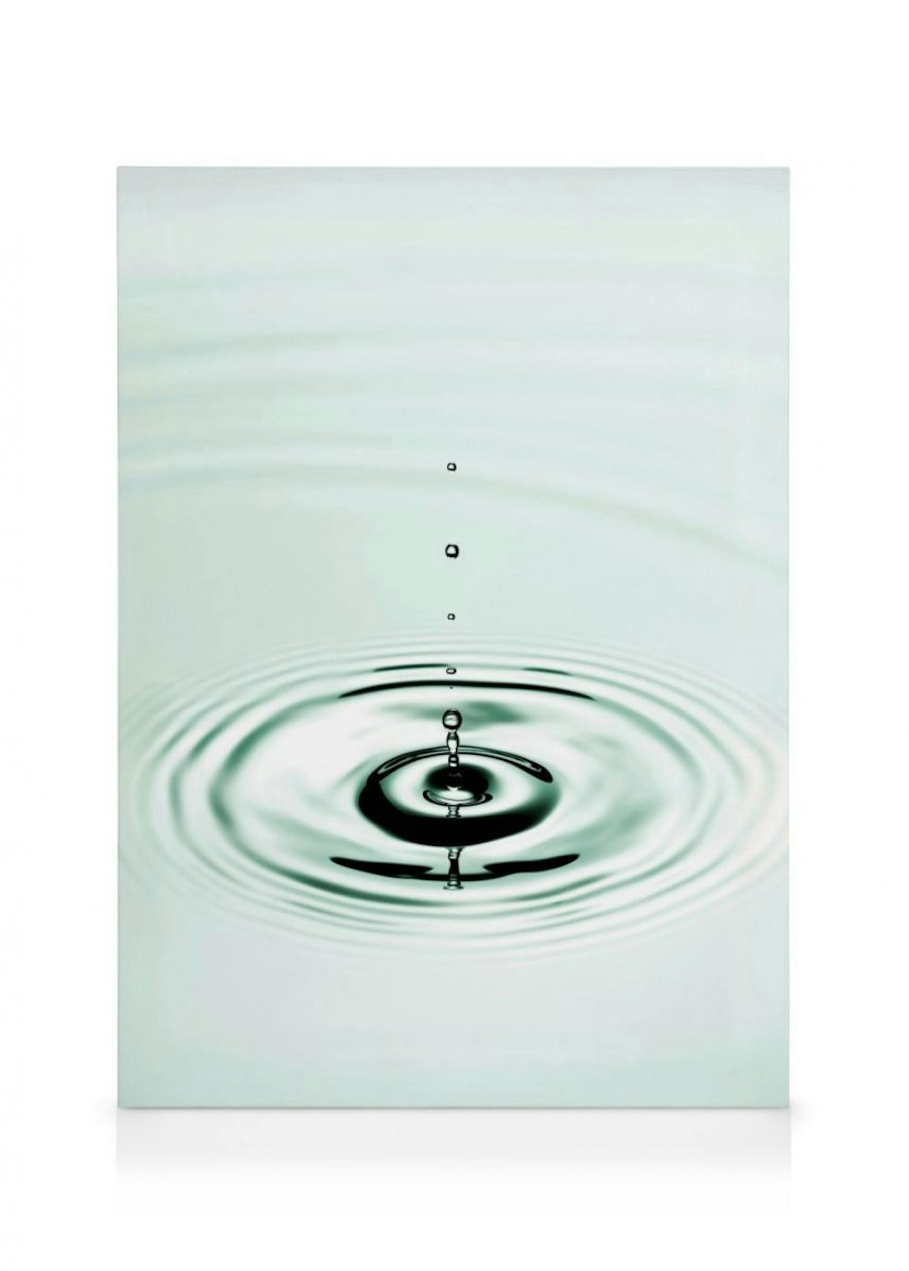 Water Drop Canvas Print 0