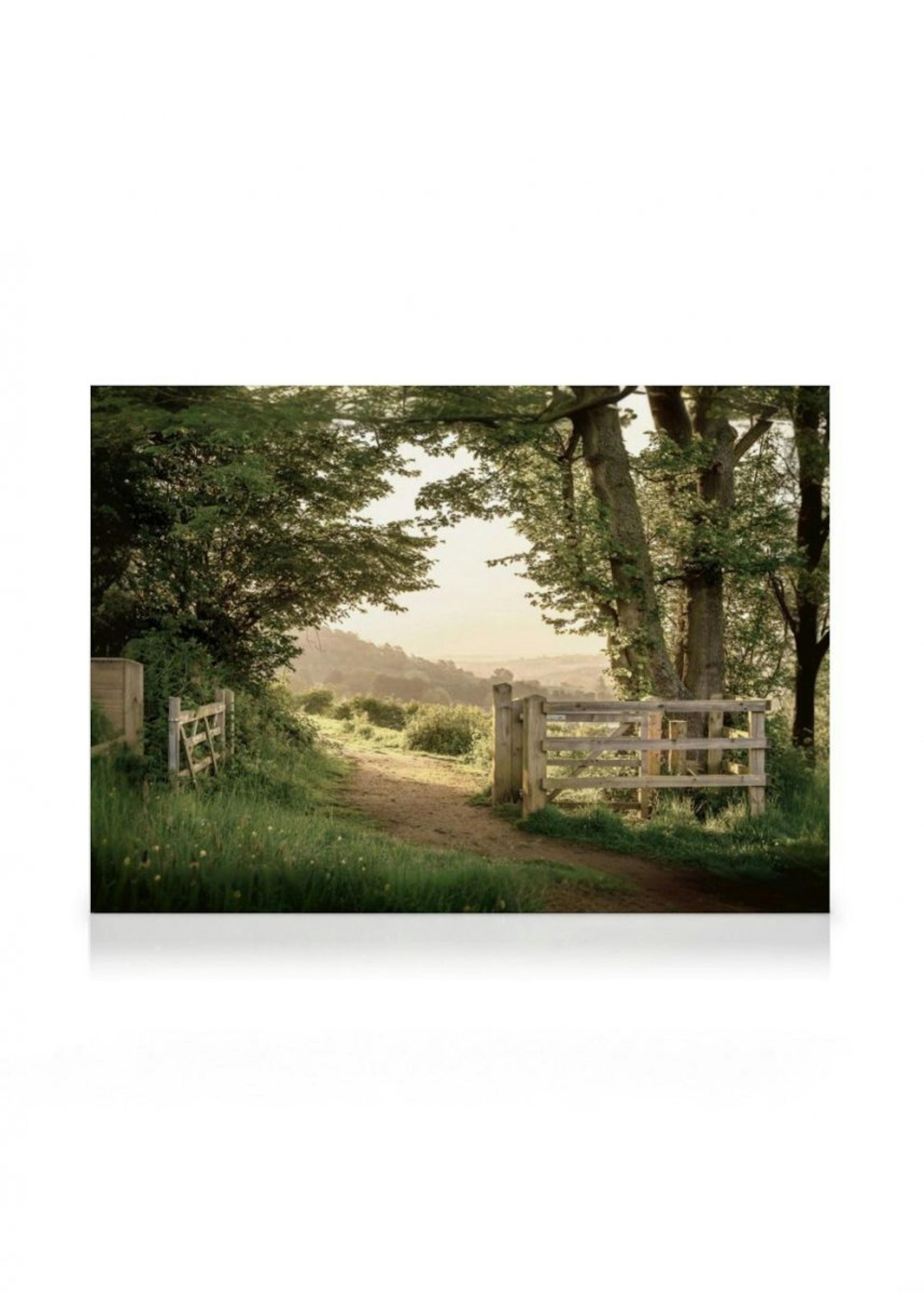 Summer Gate Canvas Print 0