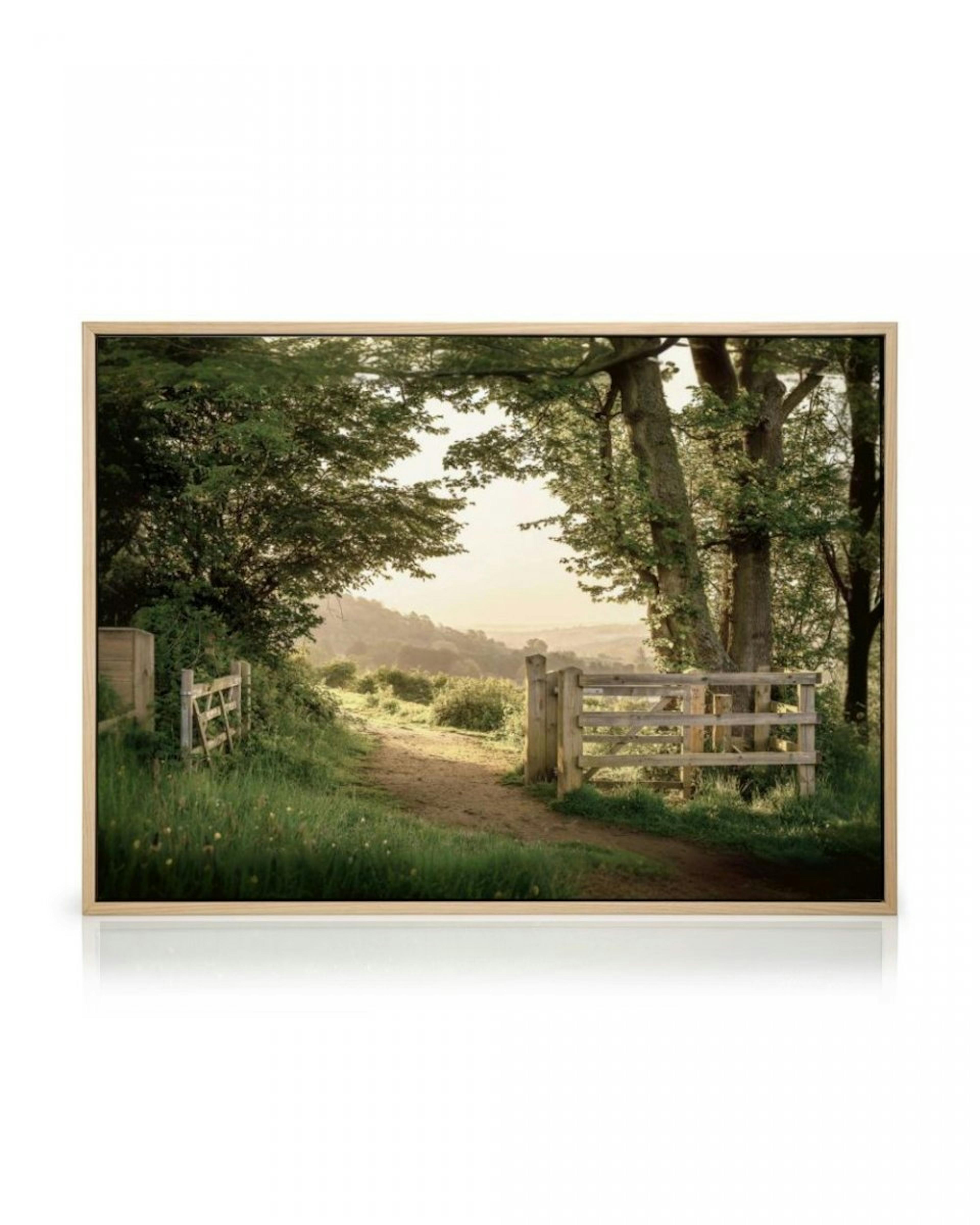 Summer Gate Canvas Print thumbnail