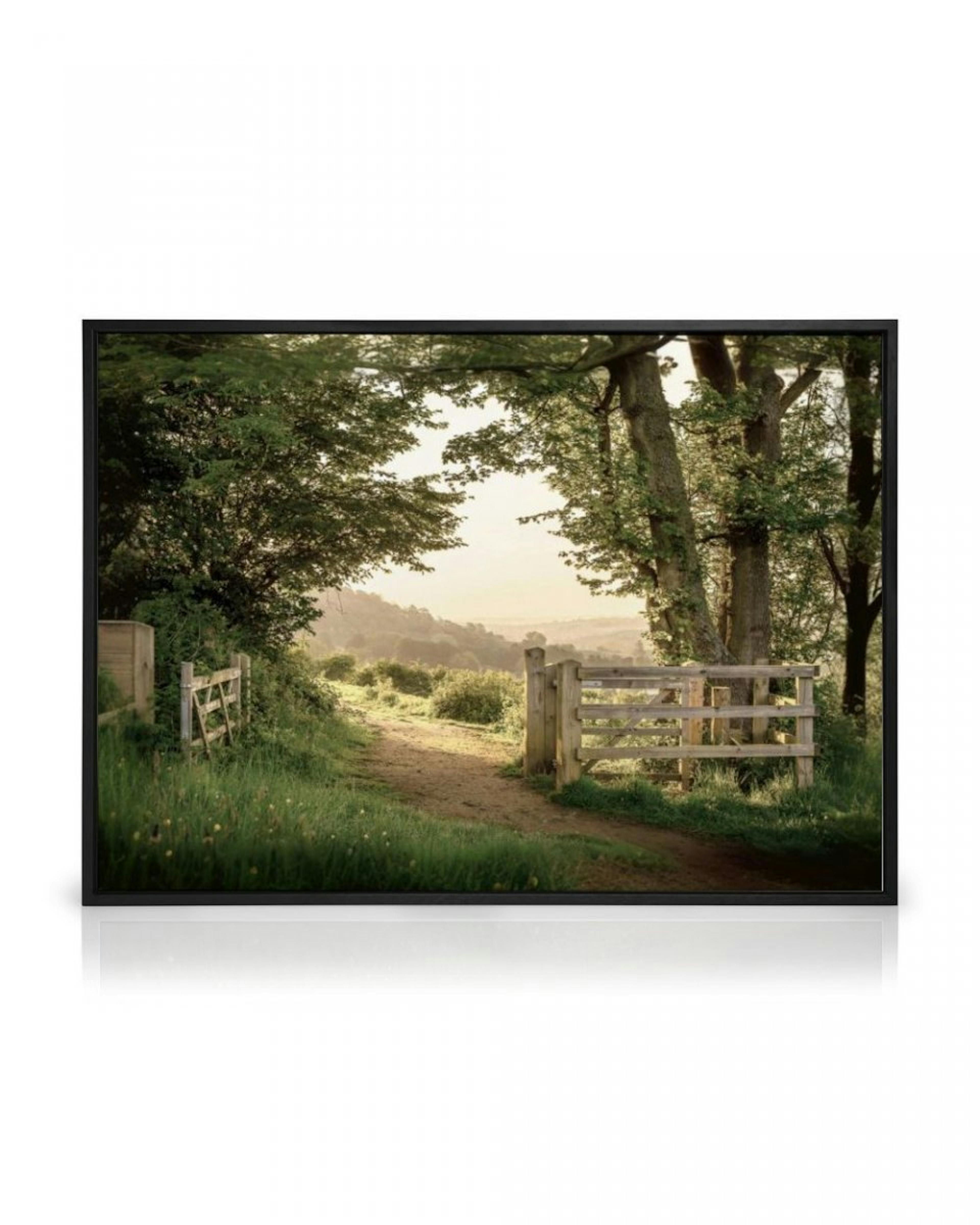 Summer Gate Canvas Print thumbnail