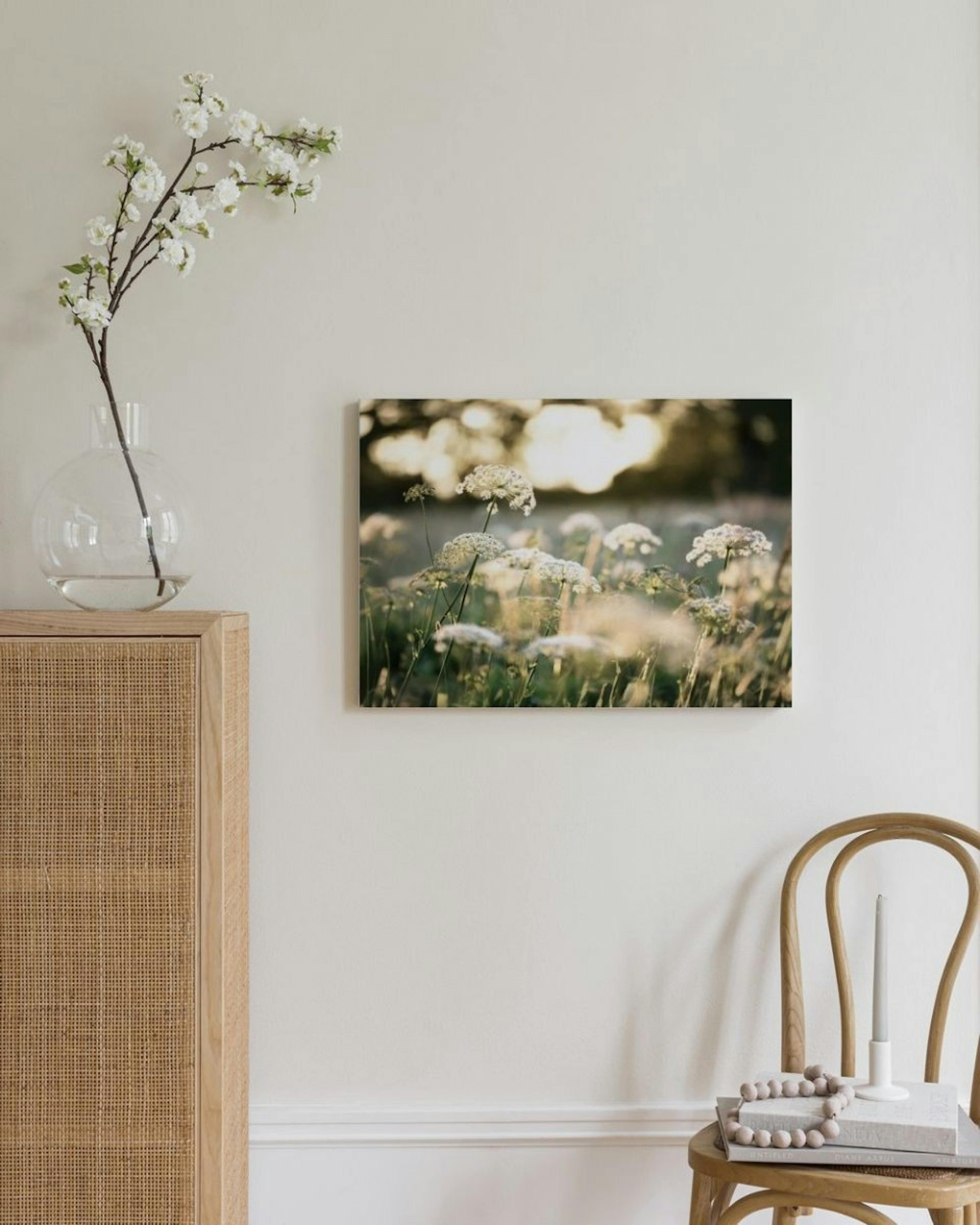 Witte Bloemen in Zonlicht Canvas thumbnail