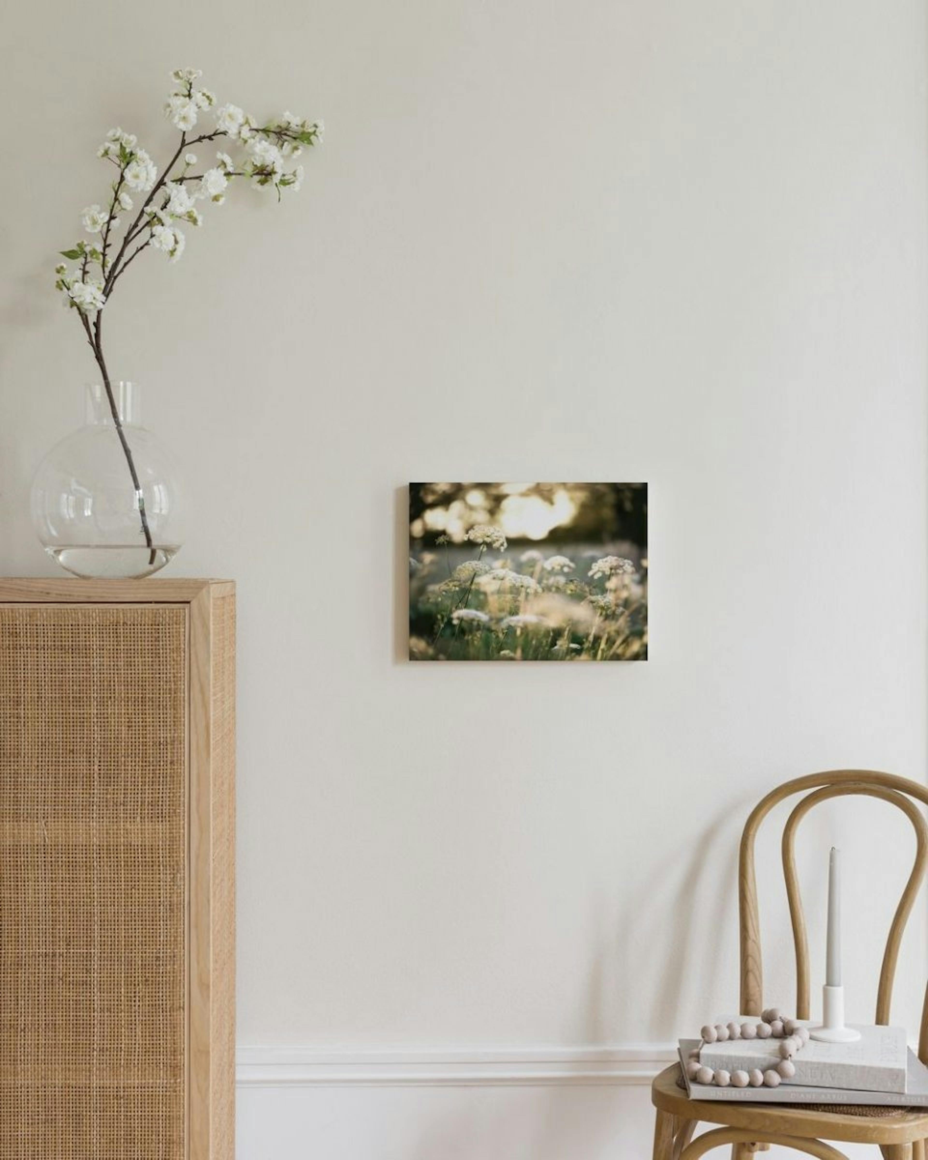 Witte Bloemen in Zonlicht Canvas thumbnail