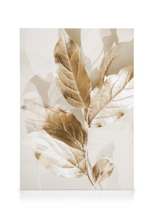 Eucalyptus Goud Nr2 Canvas (30x40 cm) - Poster Store