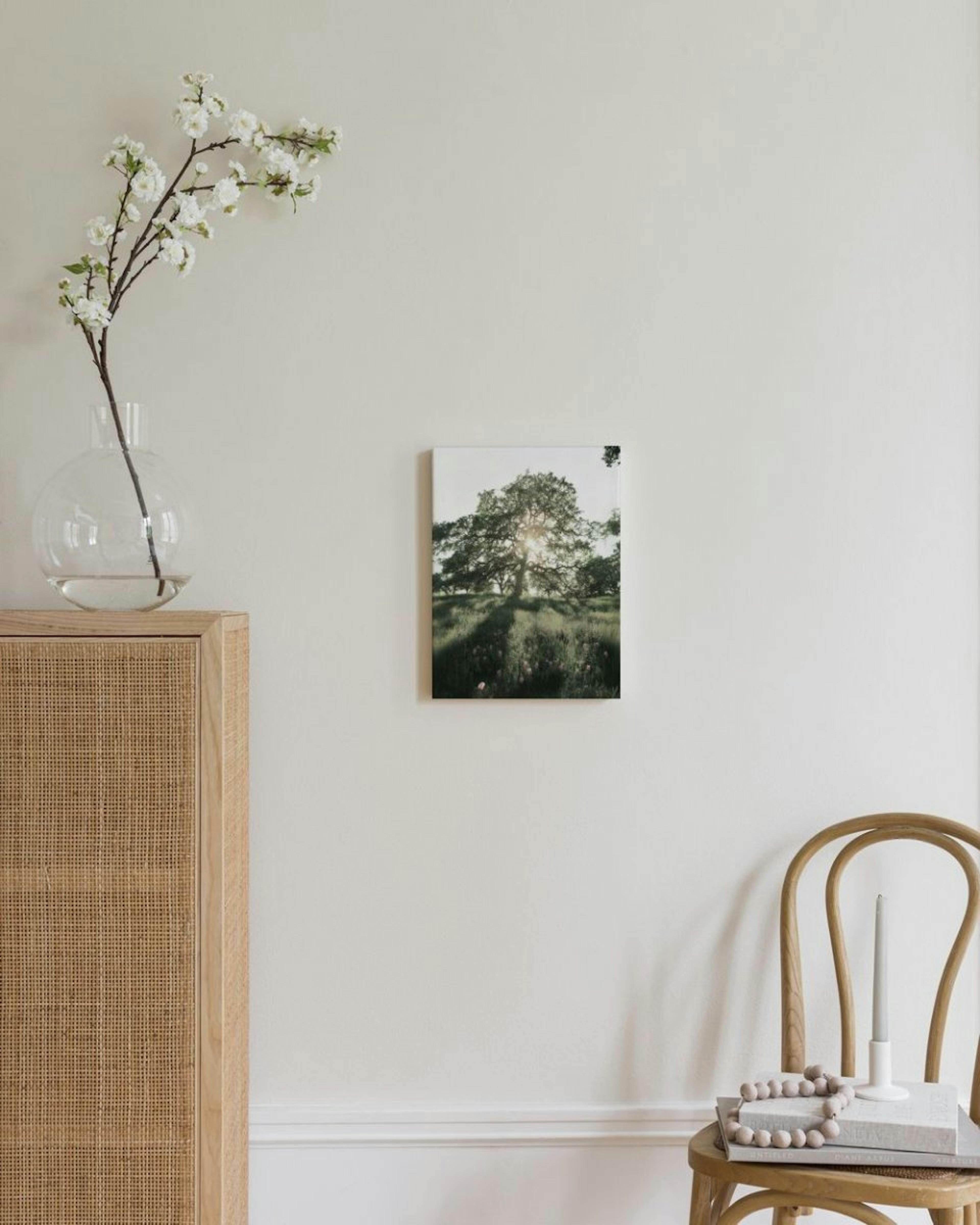 Sun Shining Through Canvas print thumbnail