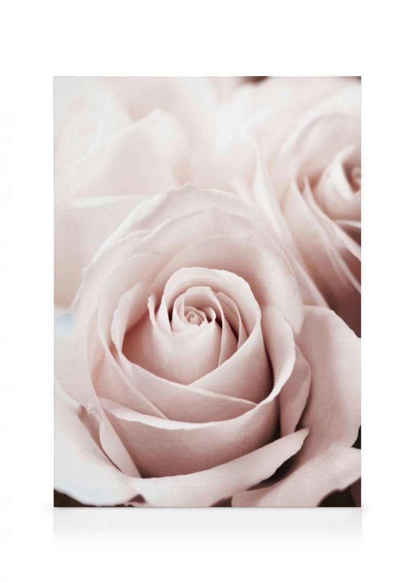 Toile Rose Poudrée (70x100 cm - Cadre noir) - Poster Store