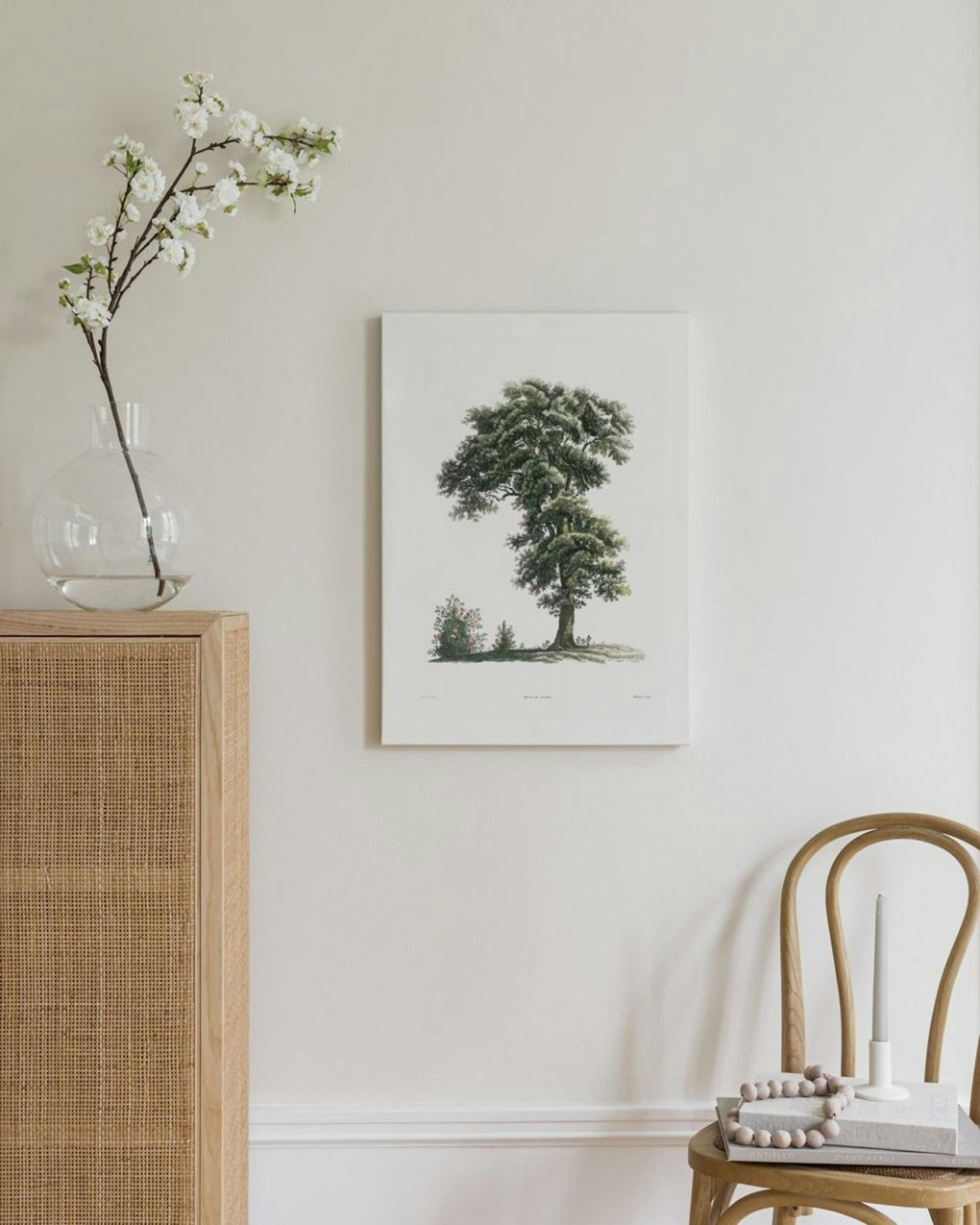 Classical Tree Illustration Canvas Print thumbnail