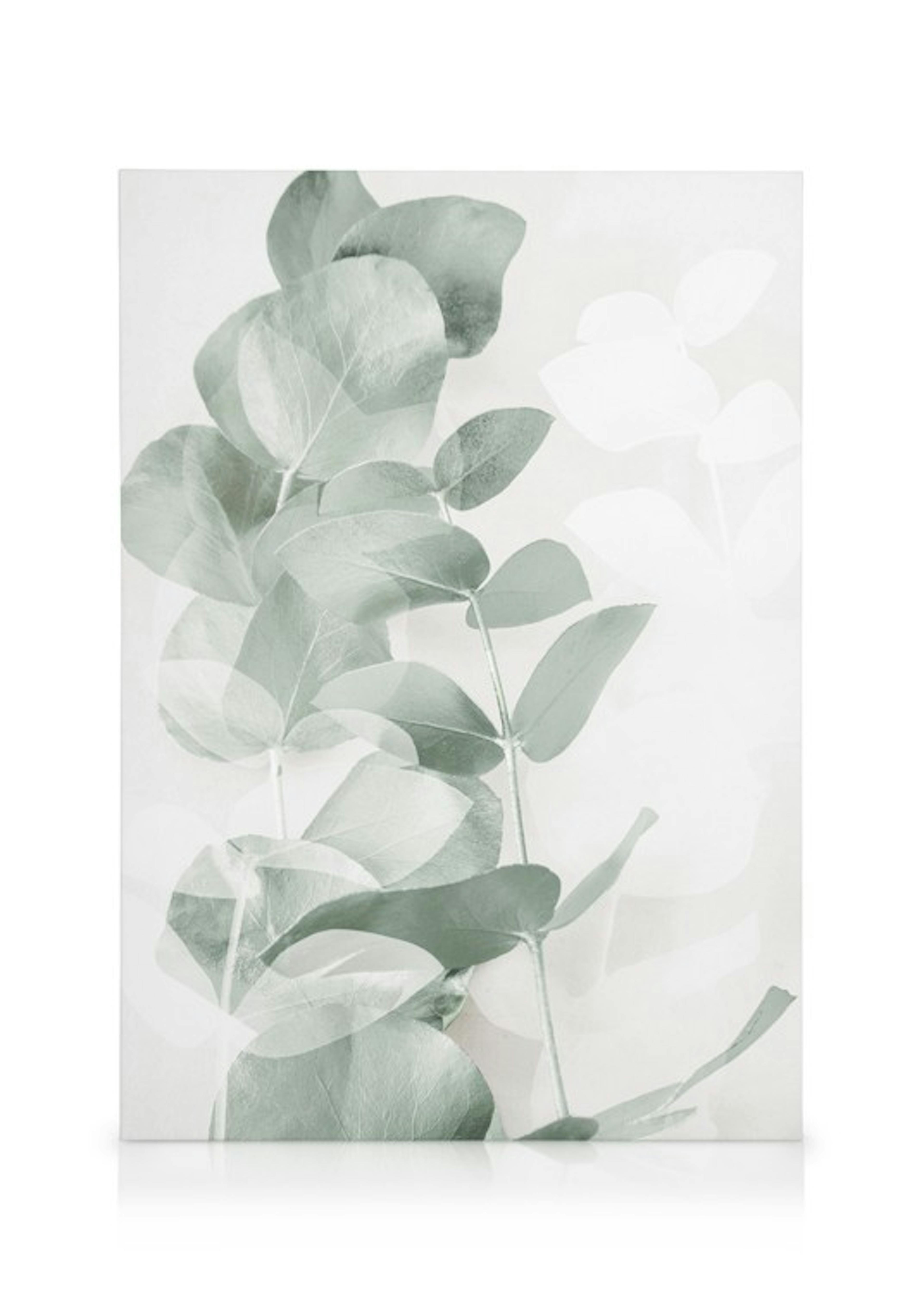 Eucalyptus Tinten No1 Canvas 0