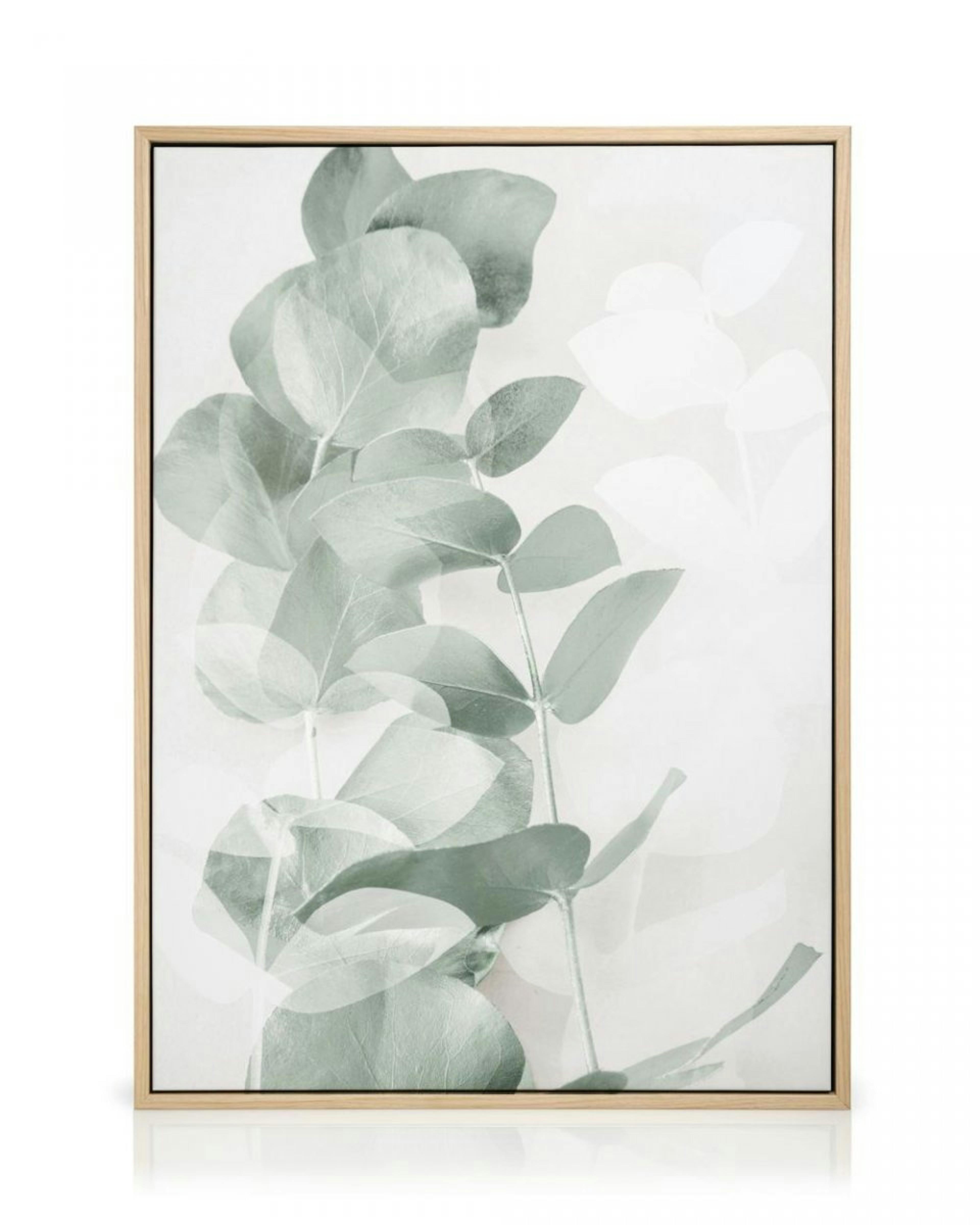 Eucalyptus Shades No1 Canvas print thumbnail