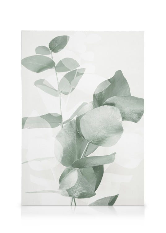 Nuances Eucalyptus No2 Toile (50x70 cm - Cadre de chêne) - Poster Store