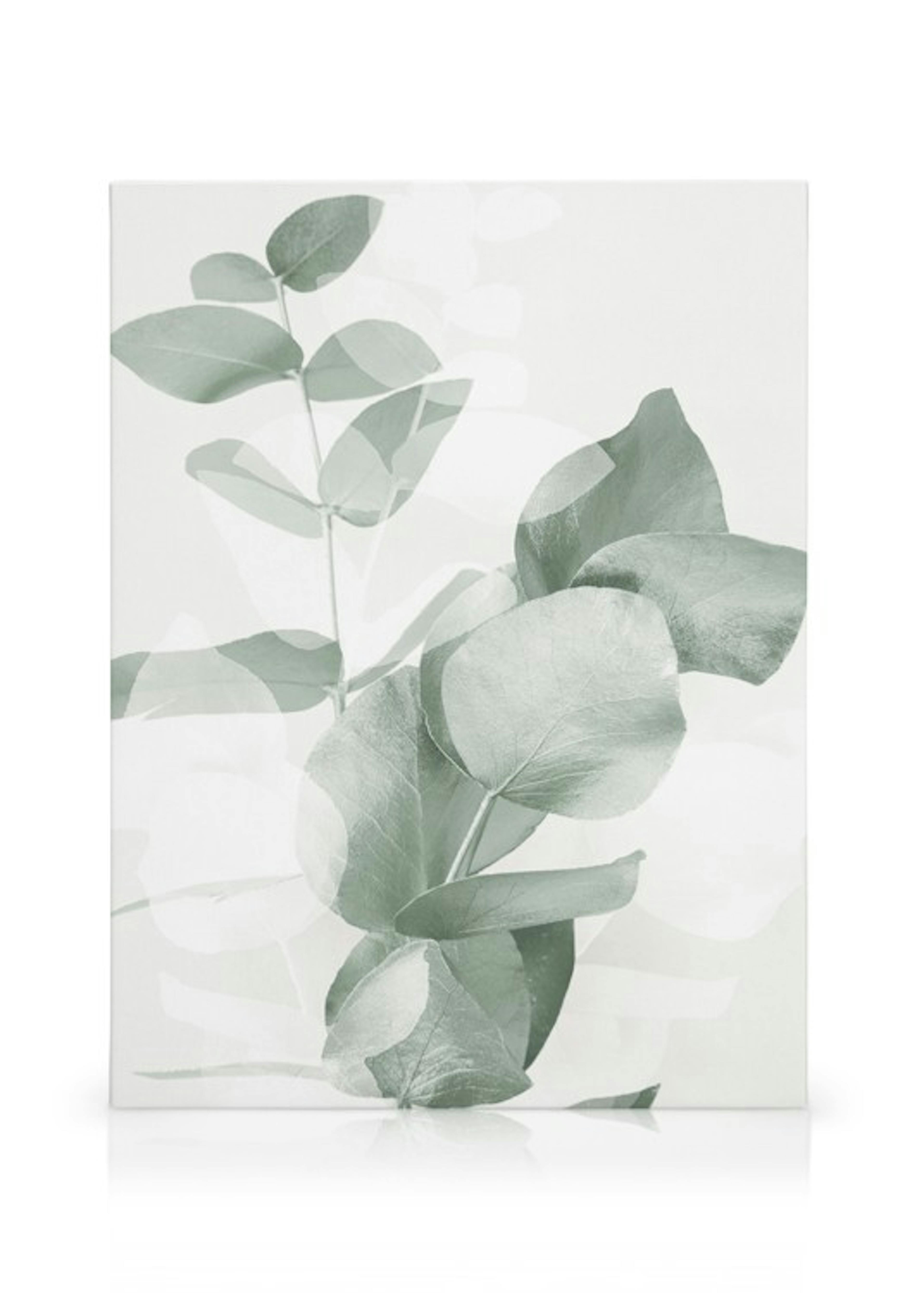 Eucalyptus Shades No2 Canvas print thumbnail