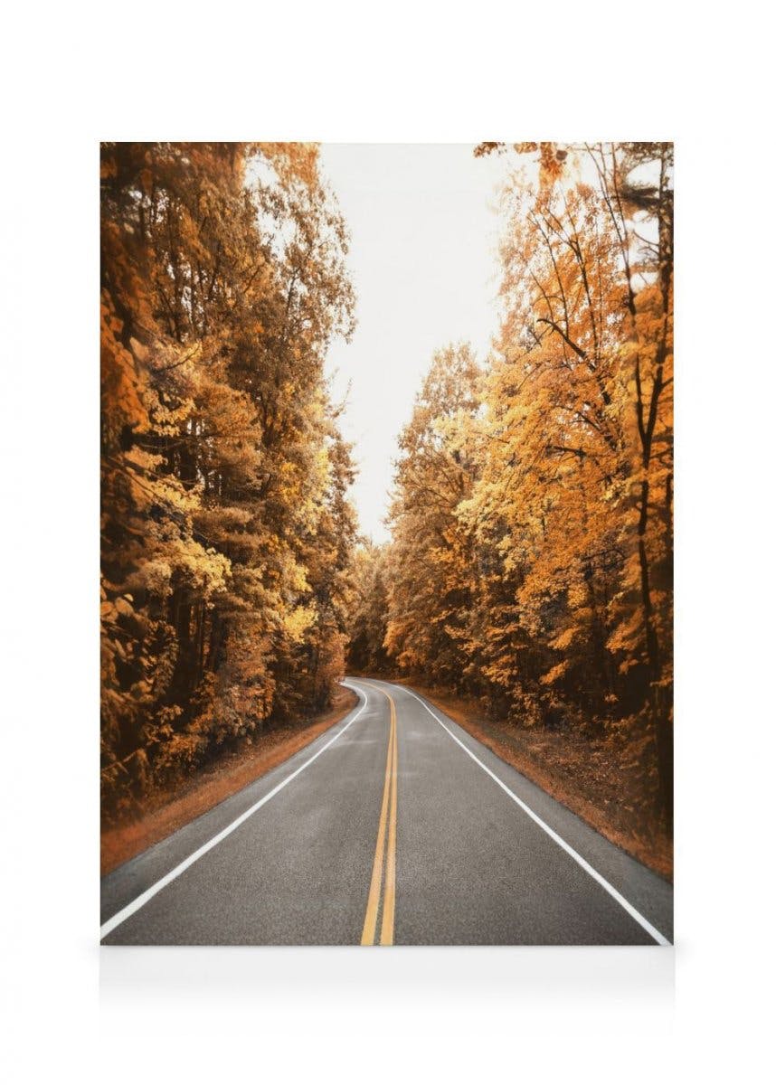 Camino de Otoño Lienzo (30x40 cm) - Poster Store