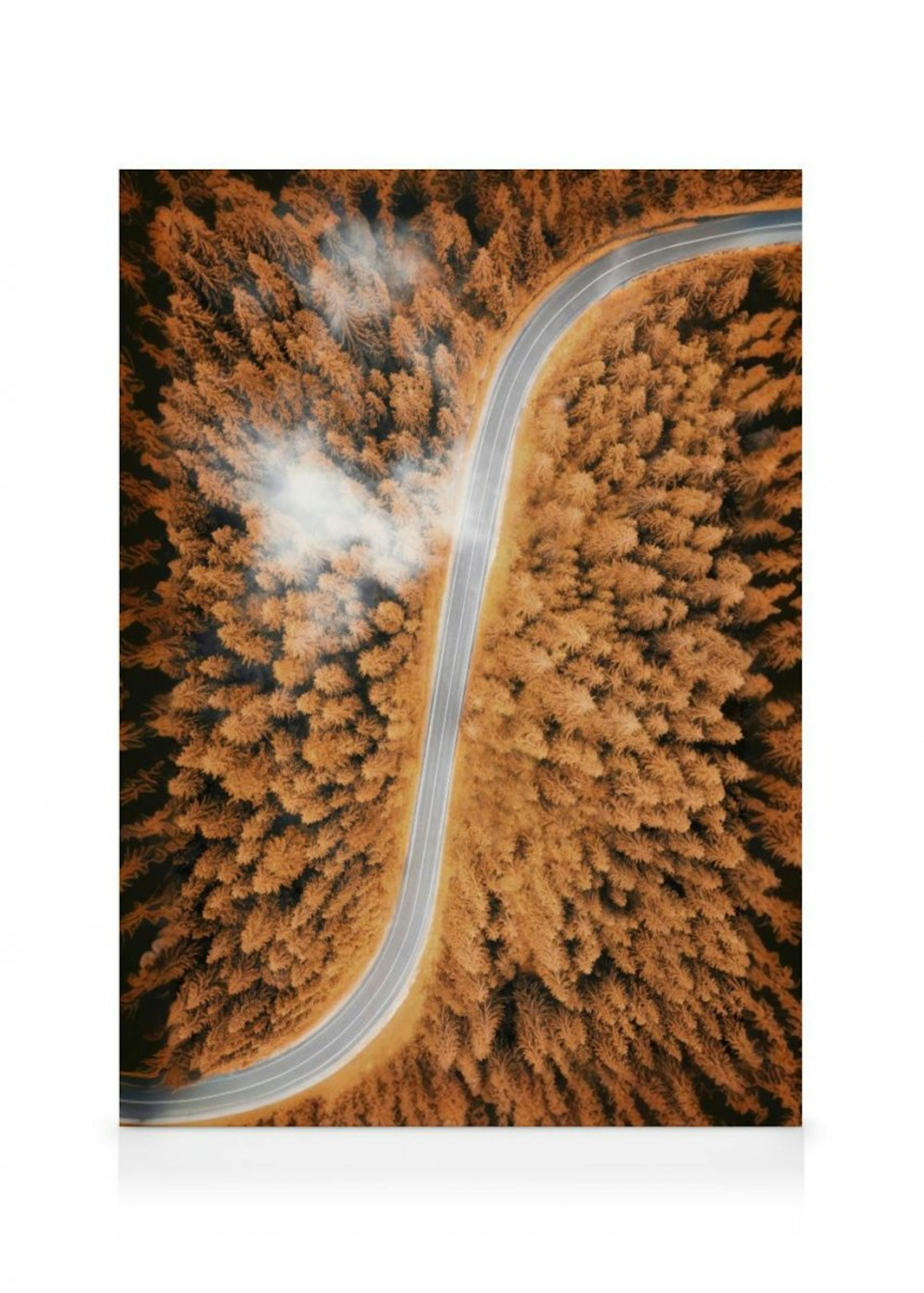 Aerial View of Autumn Canvas Print thumbnail