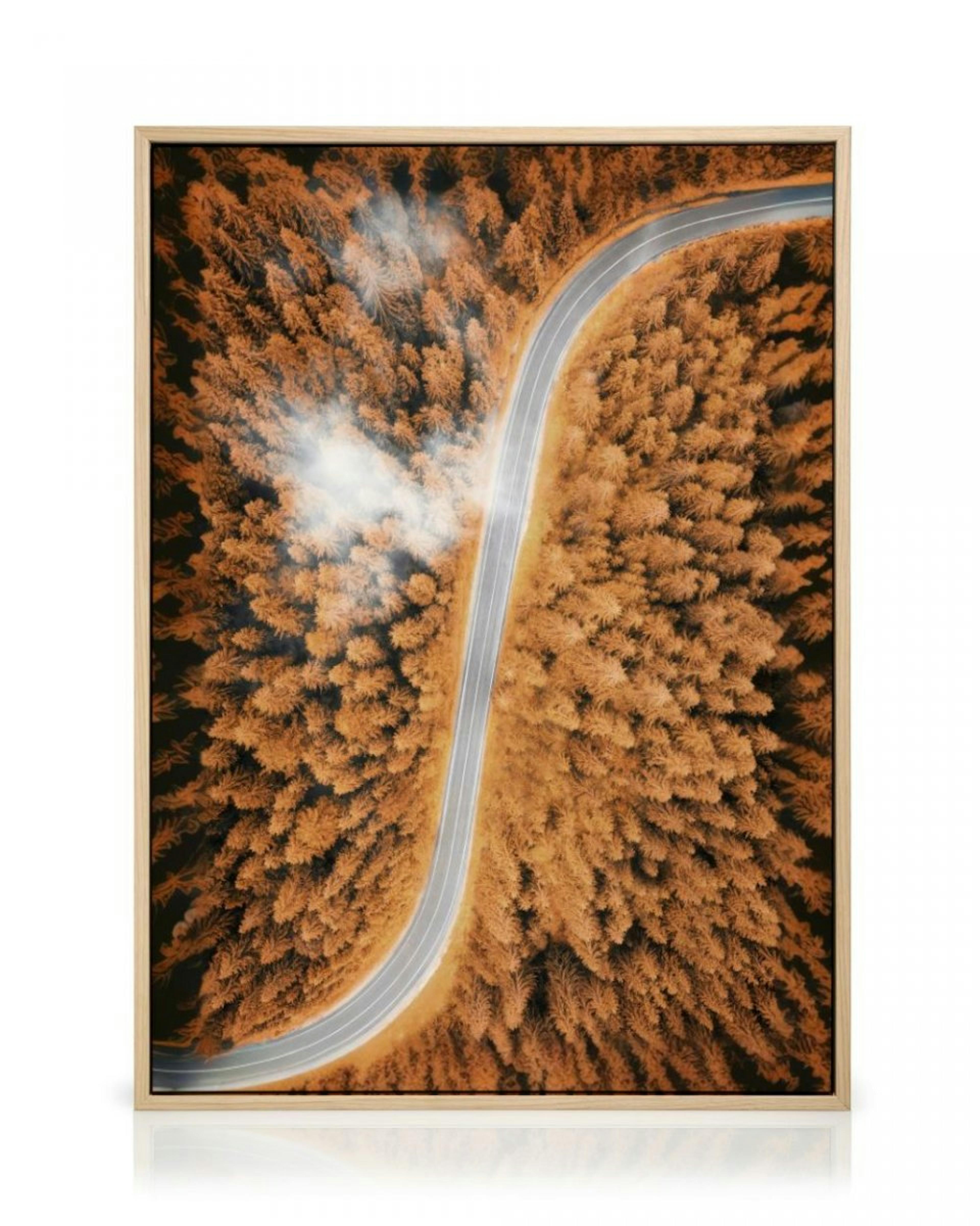 Autumn Aerial View Canvas Print thumbnail