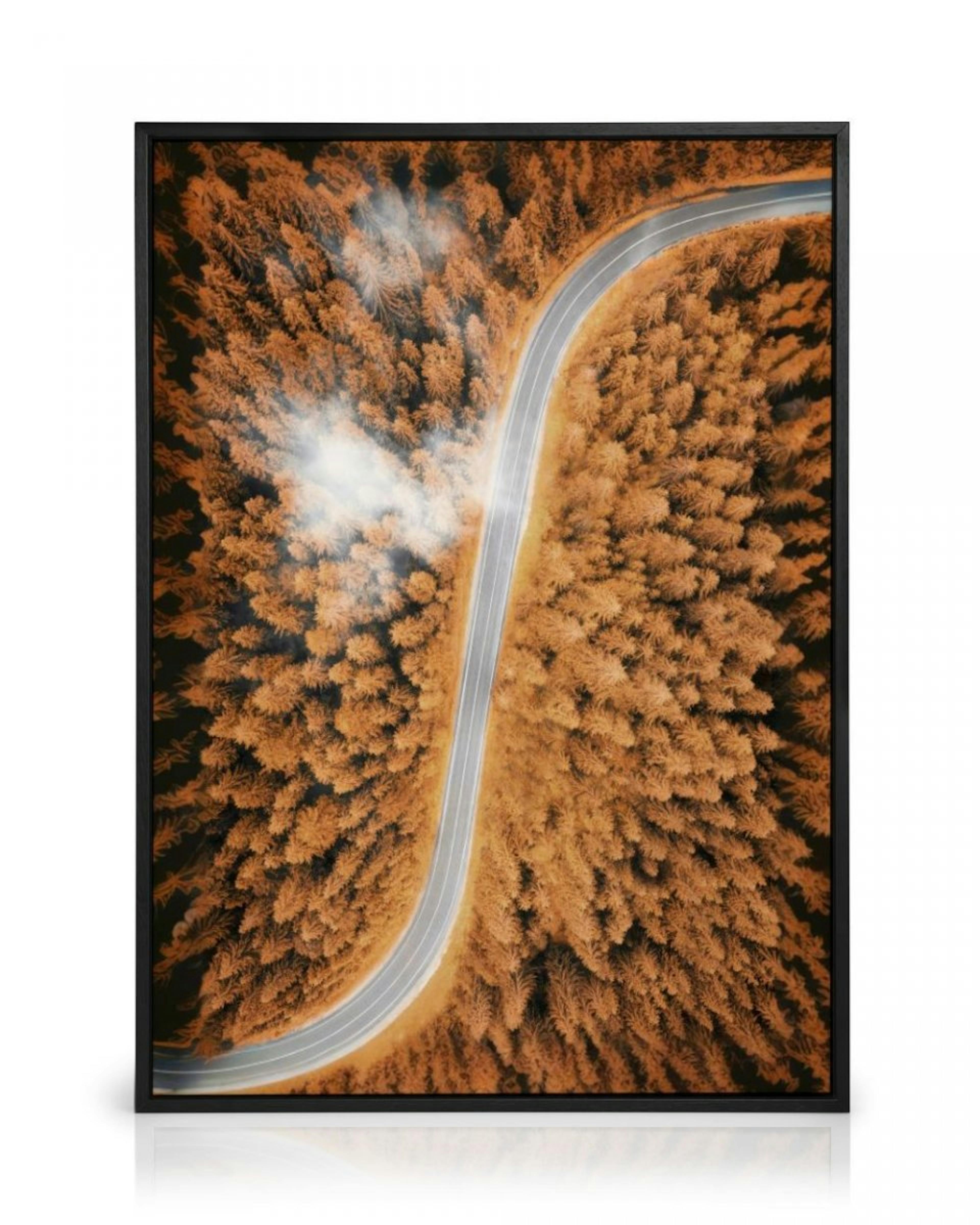 Aerial View of Autumn Canvas Print thumbnail