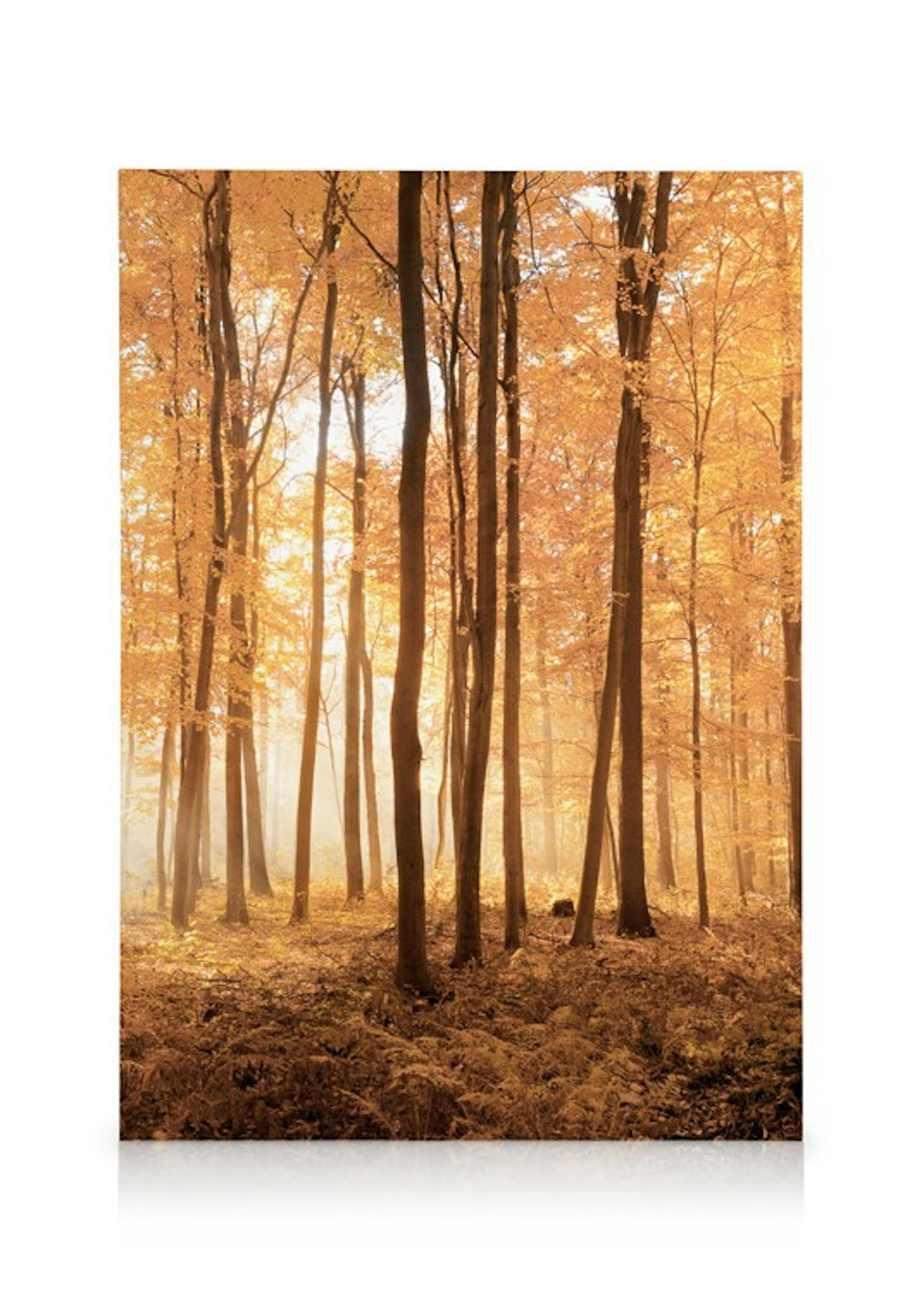 Podzimní listí obrazy na plátně thumbnail