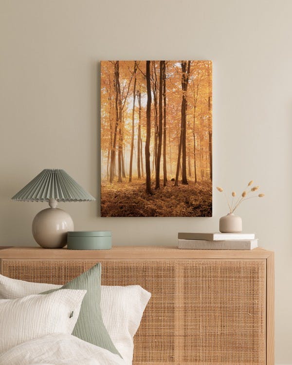 Canvas Prints - Autumn Trees Canvas print (50x70 cm - Oak Frame) - Poster Store