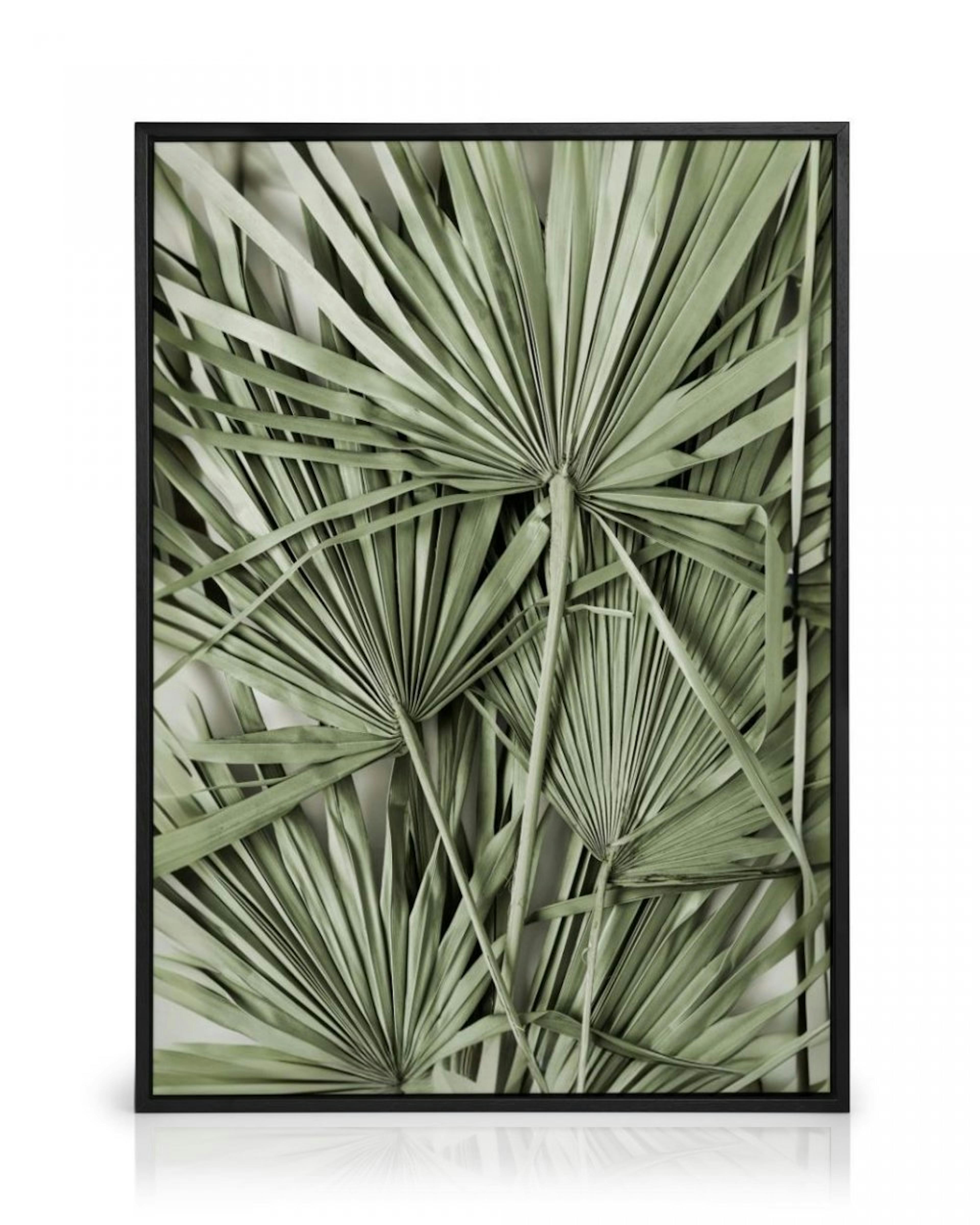 Tropical Leaves Canvas Print thumbnail