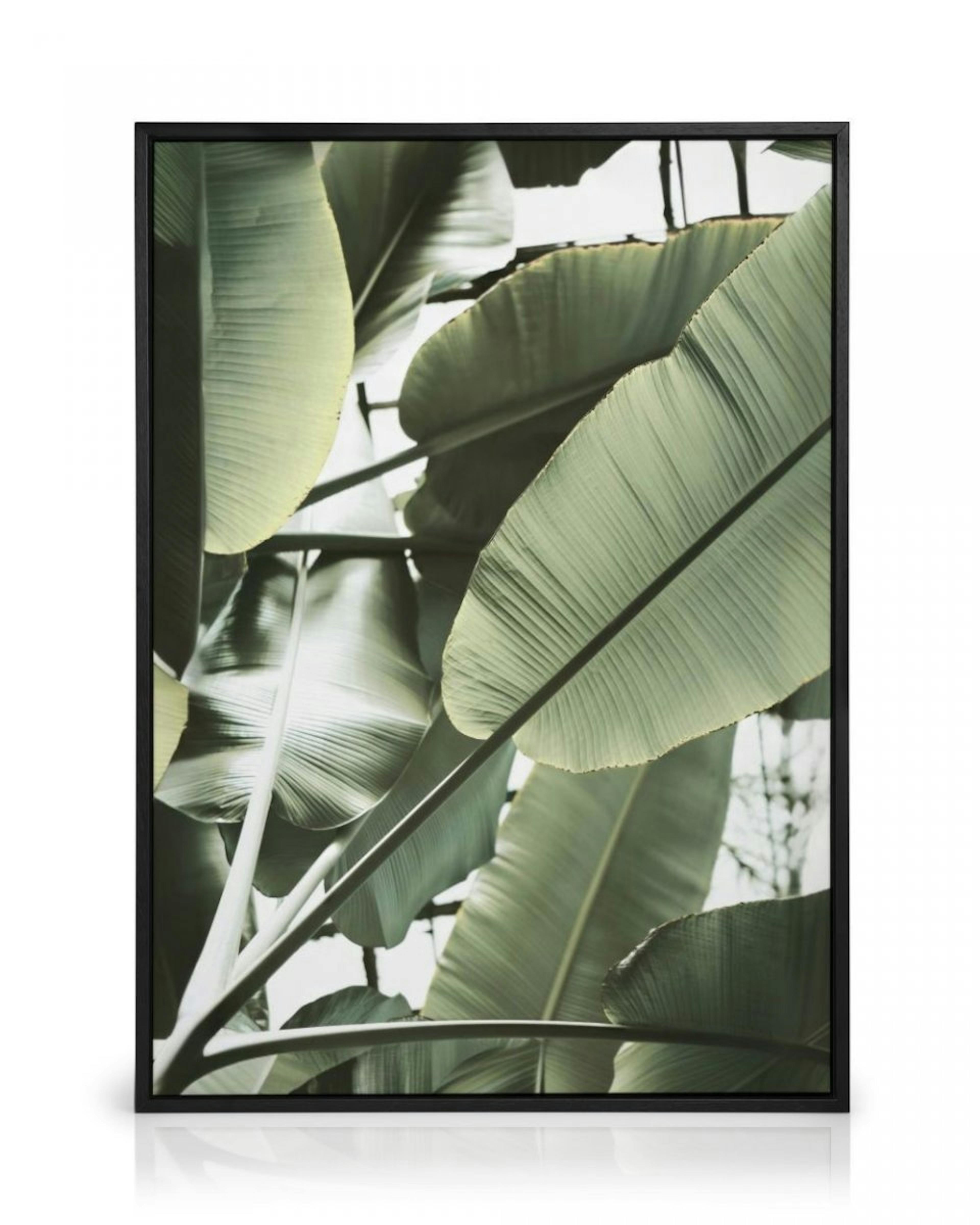 Banana Leaves Closeup Canvas print thumbnail