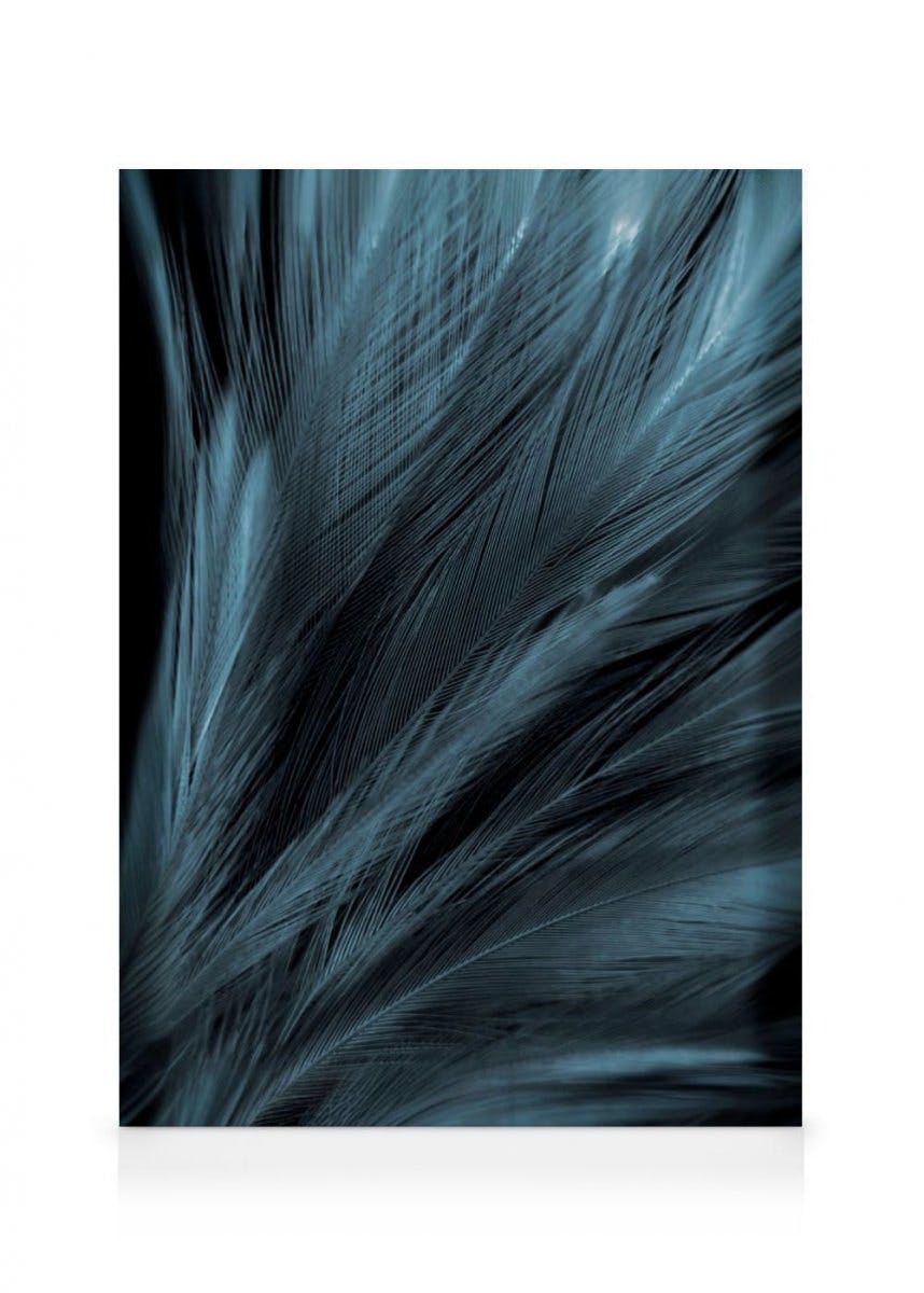 Canvas Prints - Dark Blue Feathers Canvas print (70x100 cm - Black Frame) - Poster Store